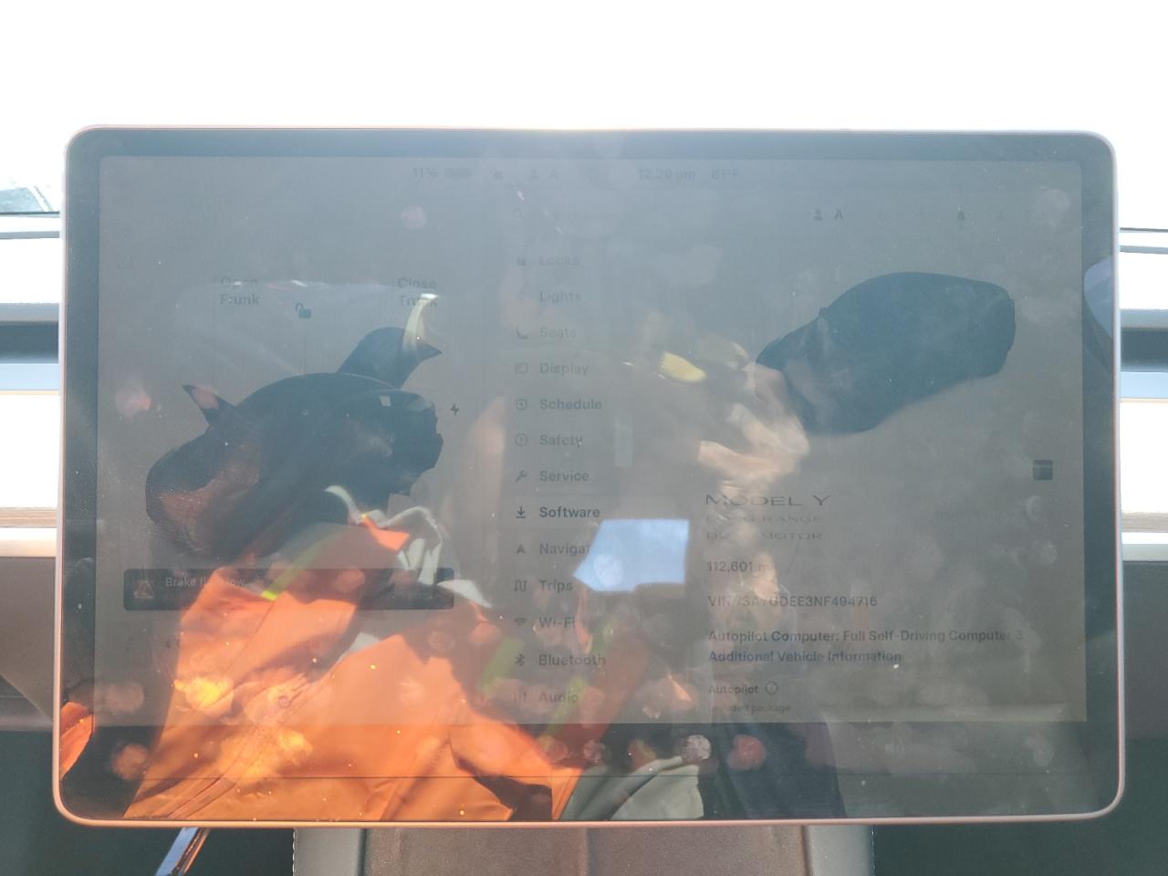 2022 Tesla Model Y VIN: 7SAYGDEE3NF494716 Lot: 86186155