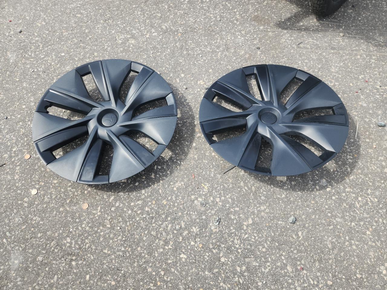 2025 Tesla Model Y VIN: 7SAYGDEE4SA360130 Lot: 81943085