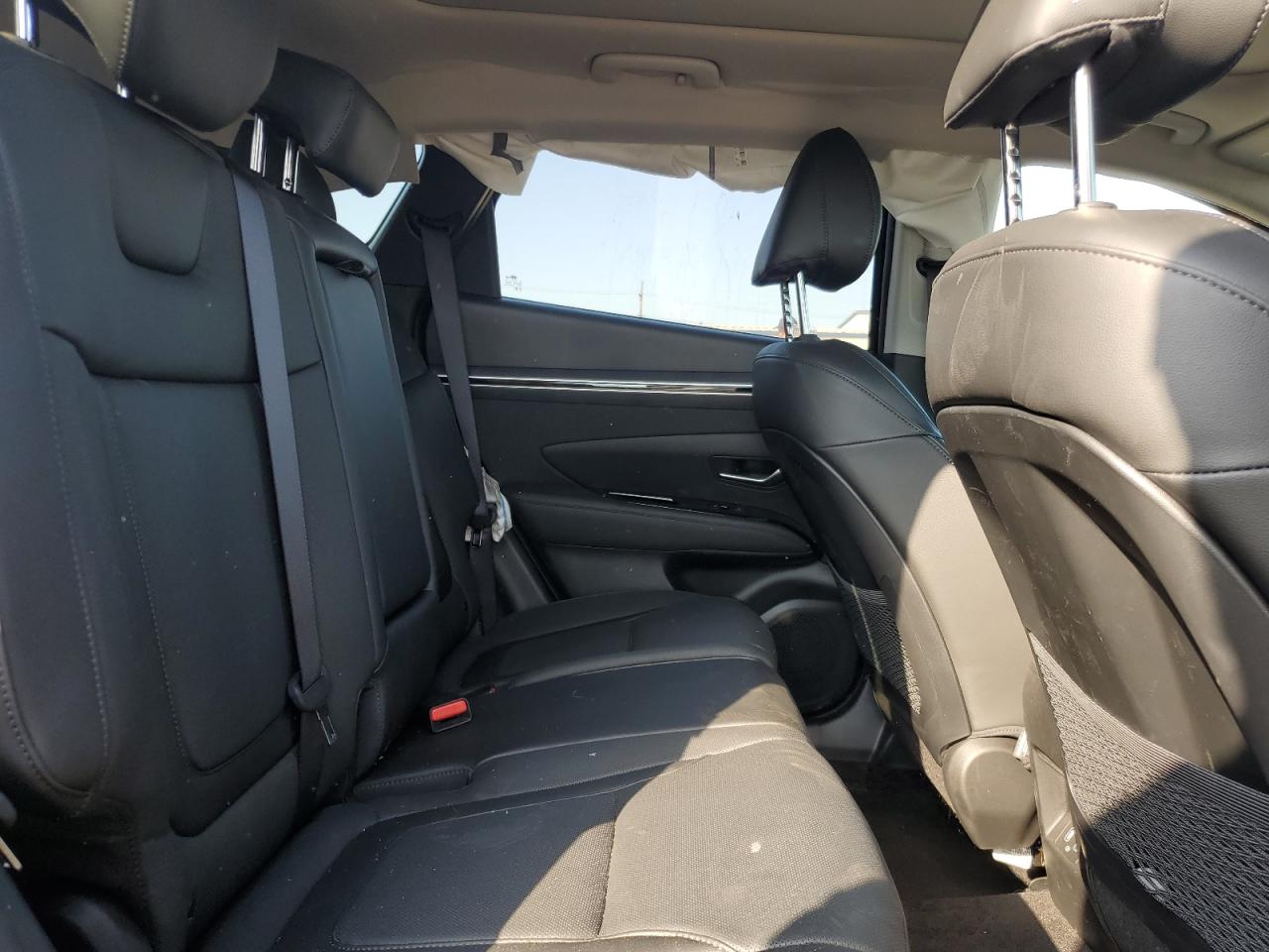 2024 Hyundai Tucson Limited VIN: 5NMJE3DE9RH397315 Lot: 84810245