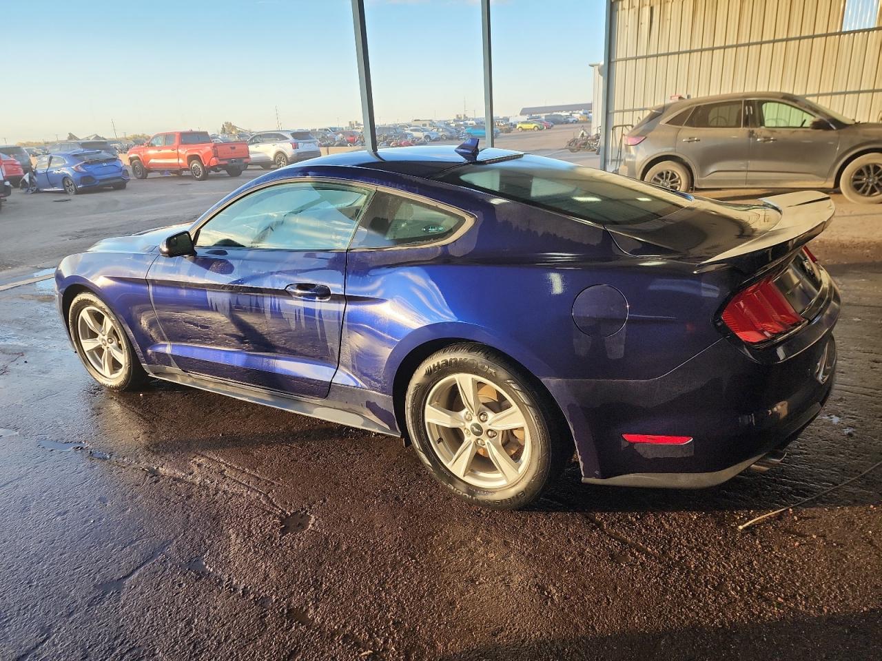 2020 Ford Mustang blue  gas 1FA6P8TH0L5170670 photo #3