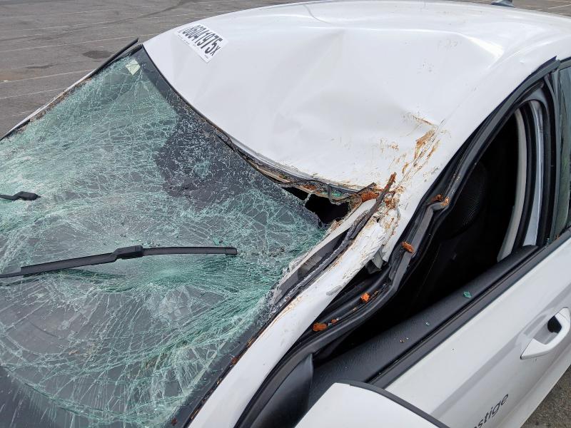 2024 SKODA OCTAVIA SE TSI 