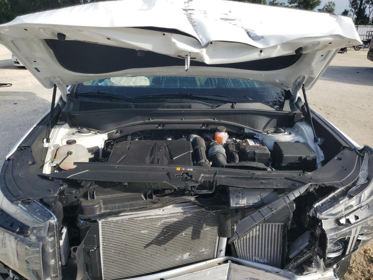 2021 Hyundai Santa Fe Limited VIN: 5NMS44ALXMH370133 Lot: 85187855