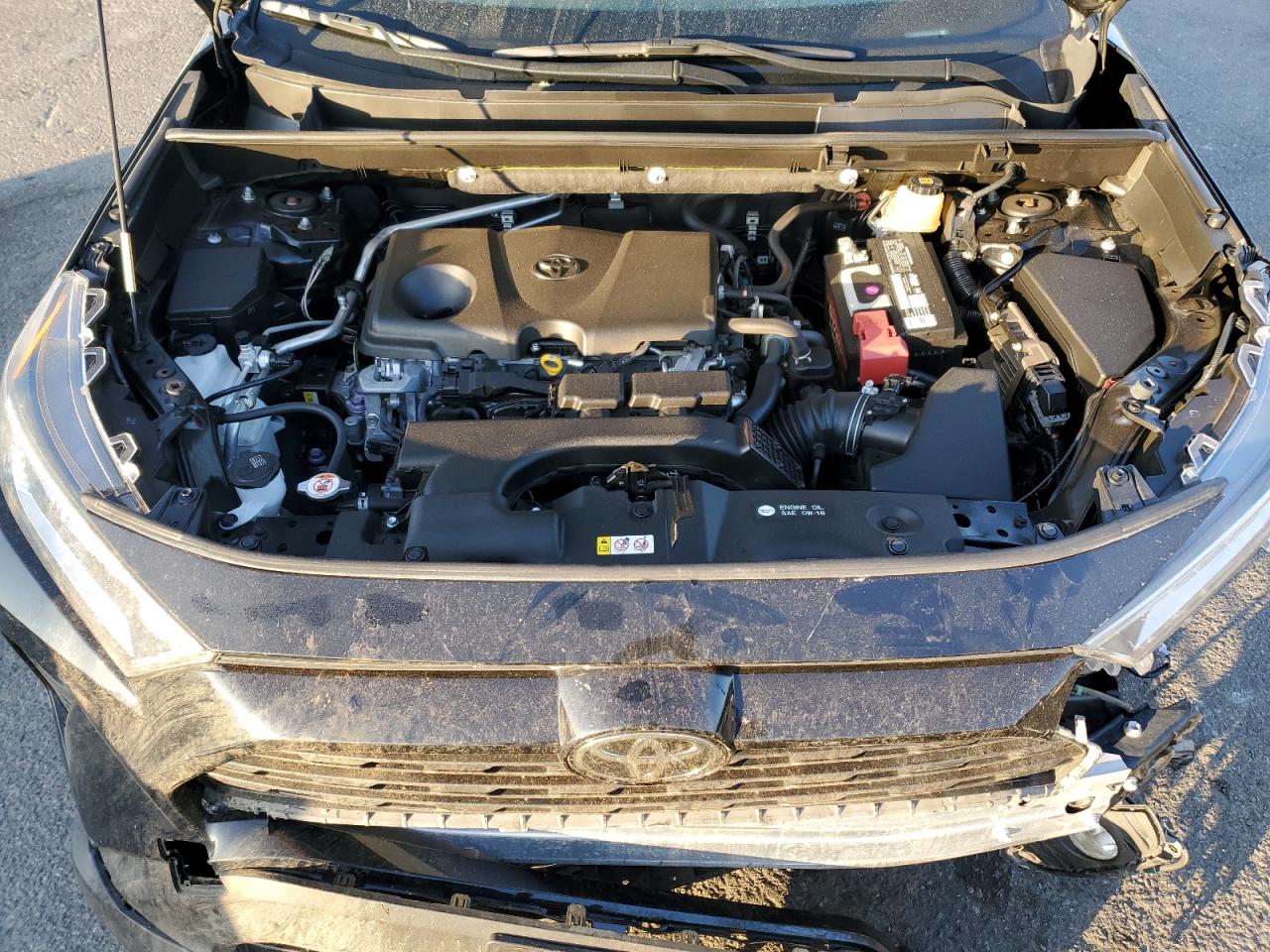 2019 Toyota Rav4 Xle Premium VIN: JTMC1RFV9KD006666 Lot: 84064645