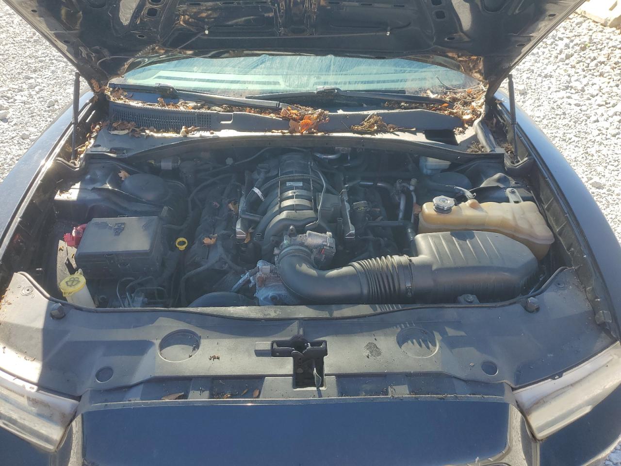 2014 Dodge Charger R/T VIN: 2C3CDXDT1EH331840 Lot: 82258485