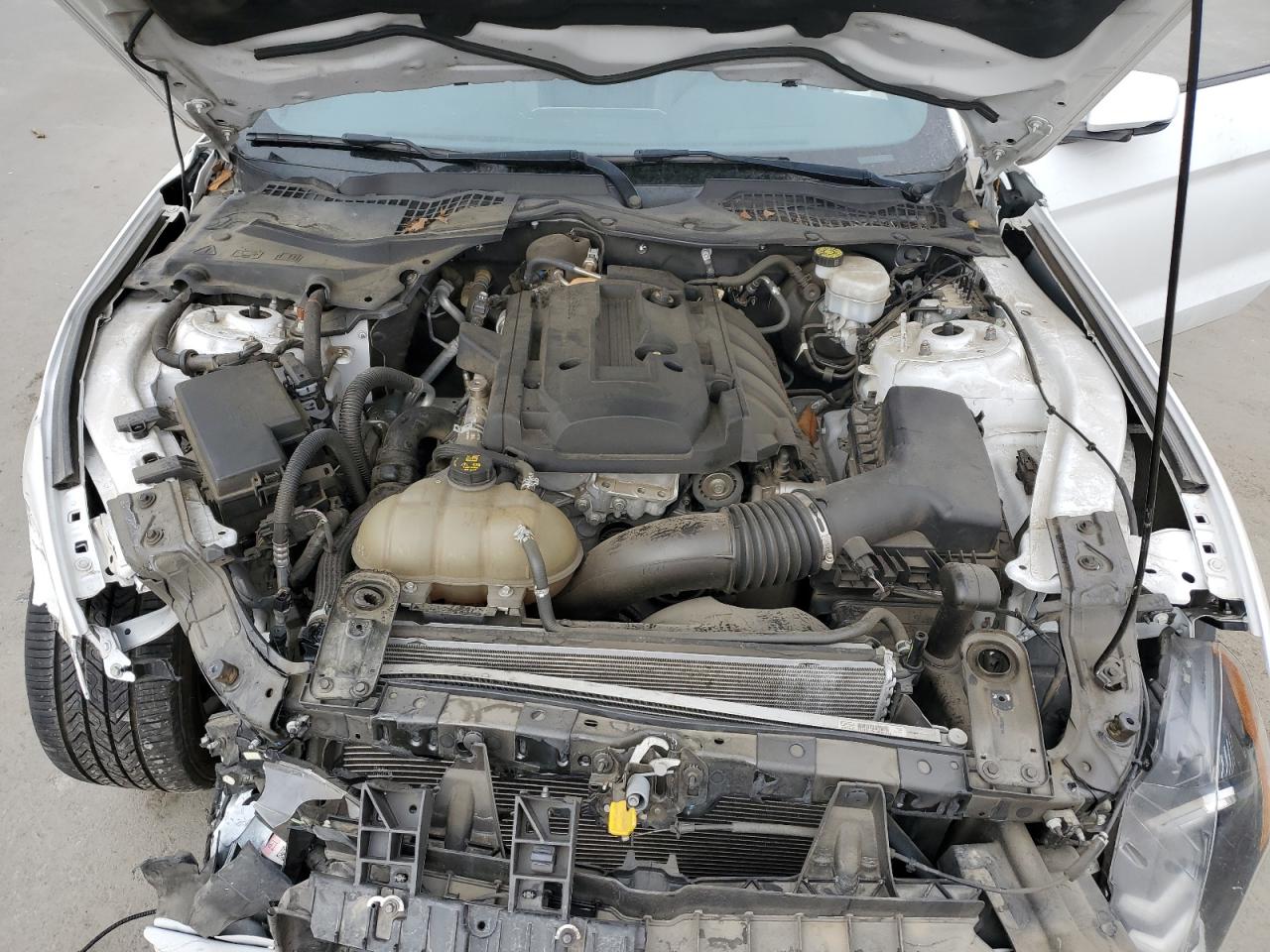 2020 Ford Mustang VIN: 1FA6P8TH5L5139141 Lot: 84705175