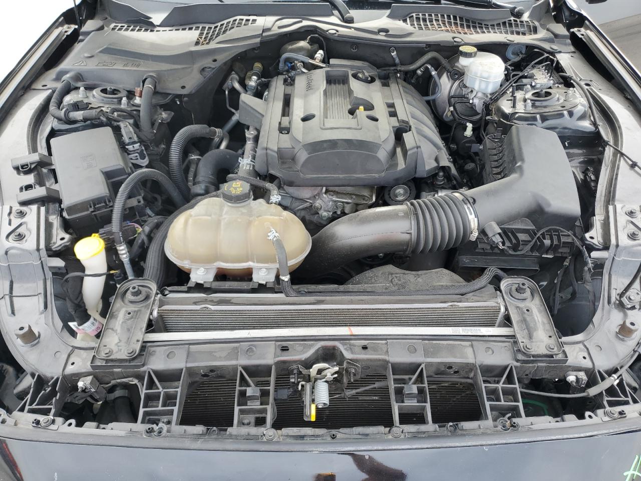 2019 Ford Mustang VIN: 1FA6P8TH3K5114558 Lot: 82737465