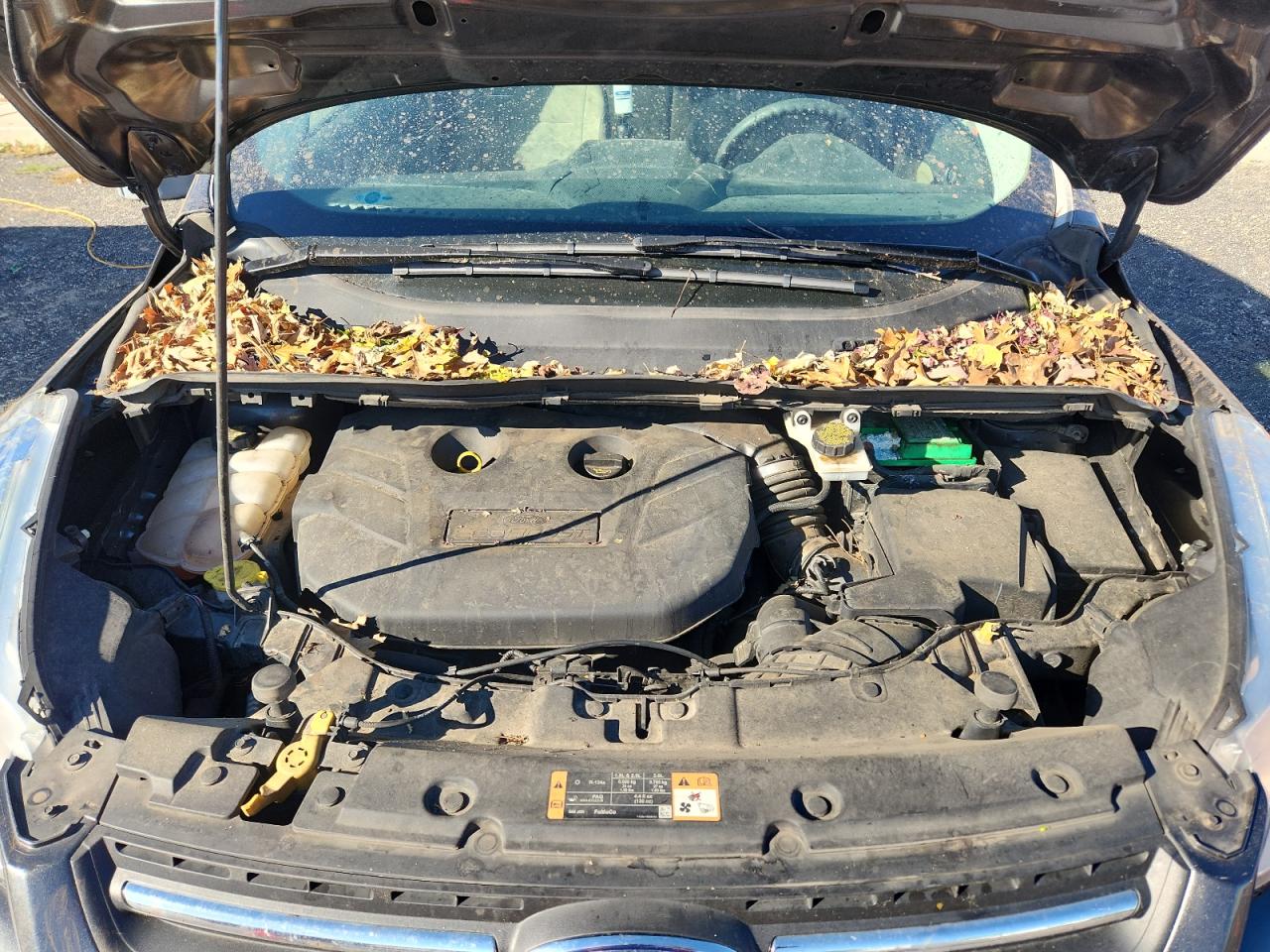 2016 Ford Escape Se VIN: 1FMCU9G97GUC68164 Lot: 82746385