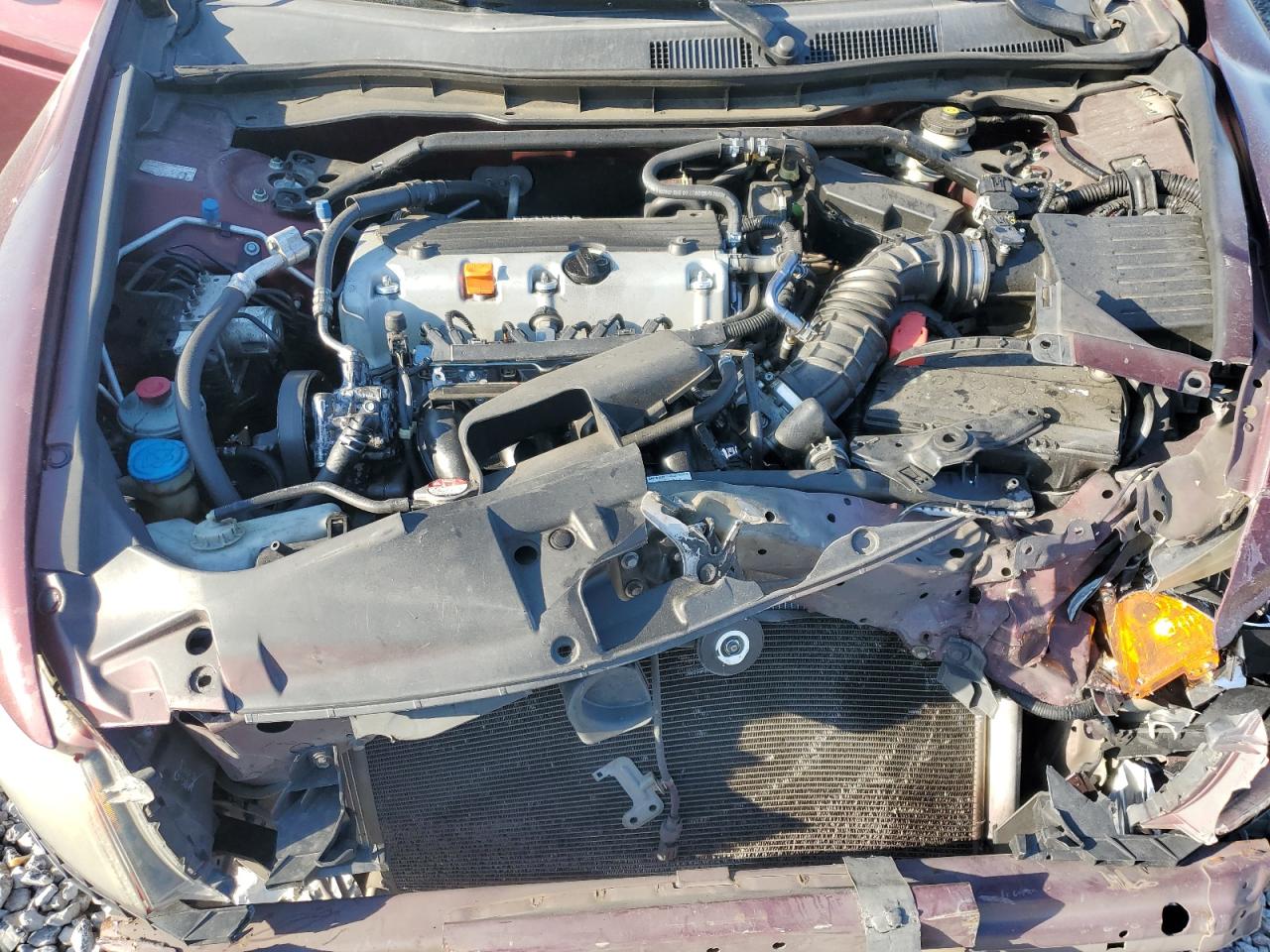 2010 Honda Accord Exl VIN: 1HGCP2F86AA070472 Lot: 82365715