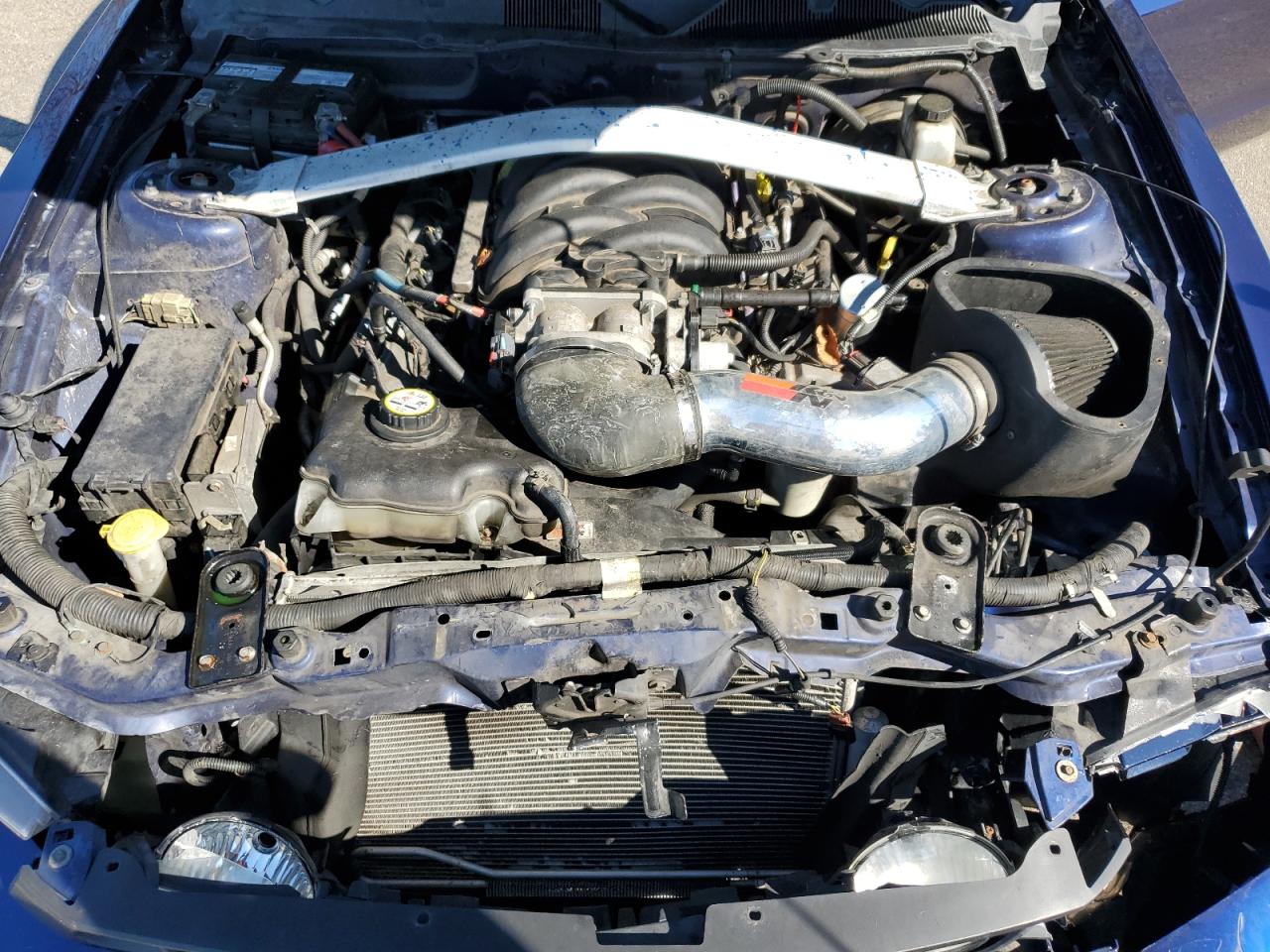 2010 Ford Mustang Gt VIN: 1ZVBP8CH1A5100226 Lot: 82384655
