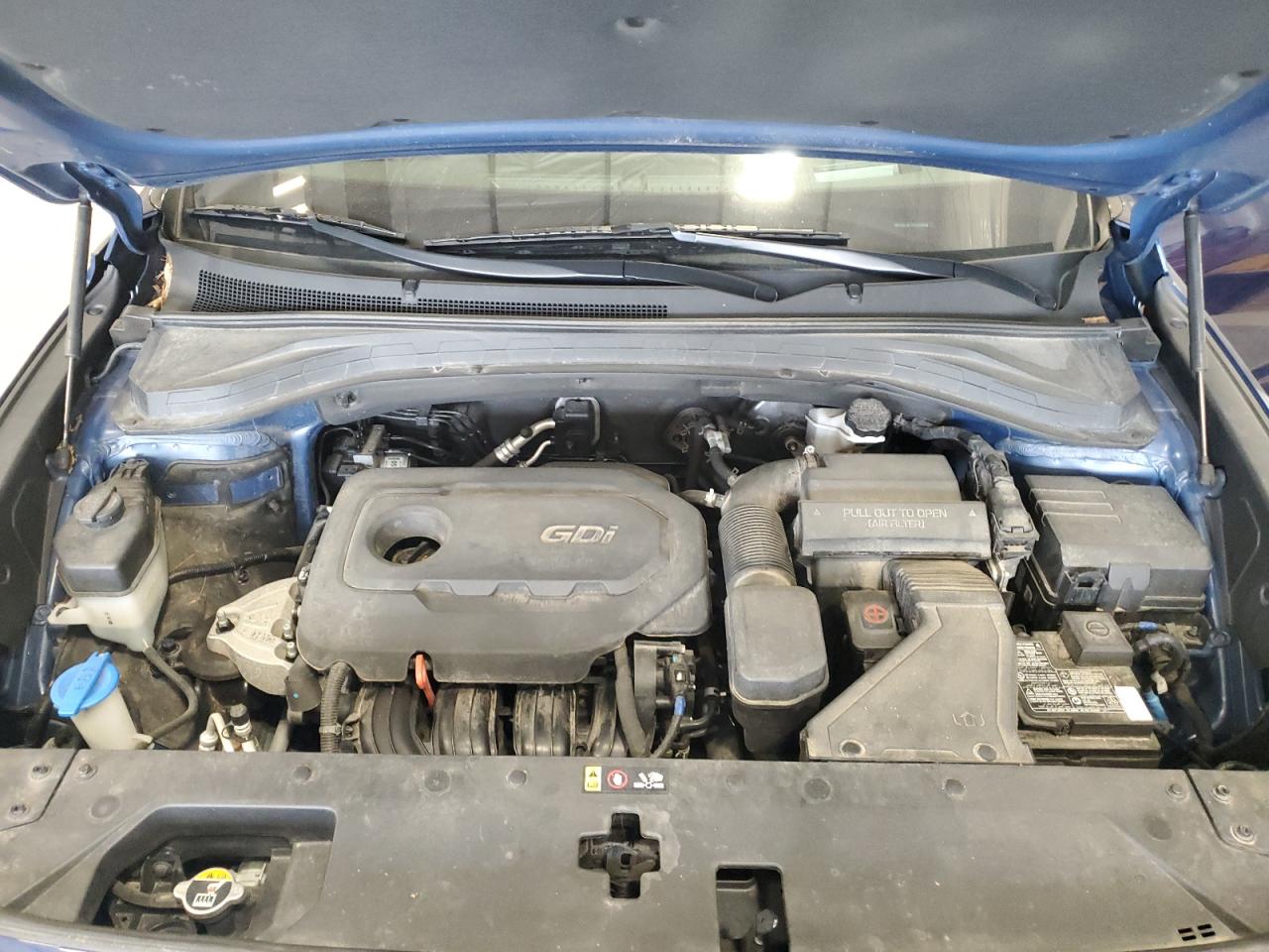 2020 Hyundai Santa Fe Limited VIN: 5NMS5CAD5LH164409 Lot: 81909155