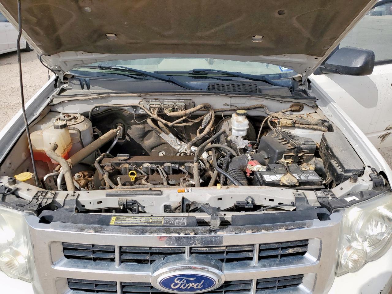 2010 Ford Escape Xlt VIN: 1FMCU9D78AKB92203 Lot: 81658435