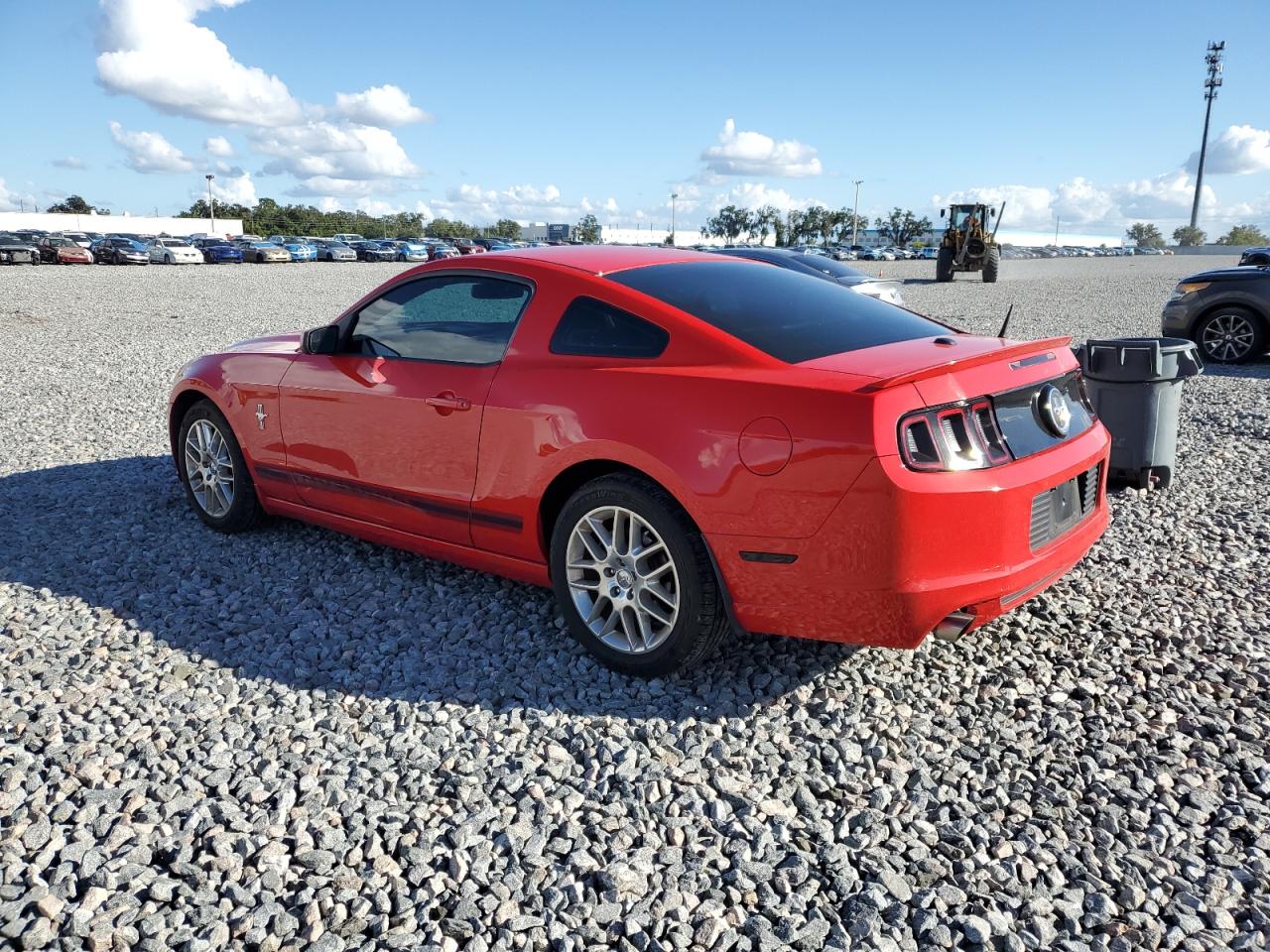 Mustang Mustang