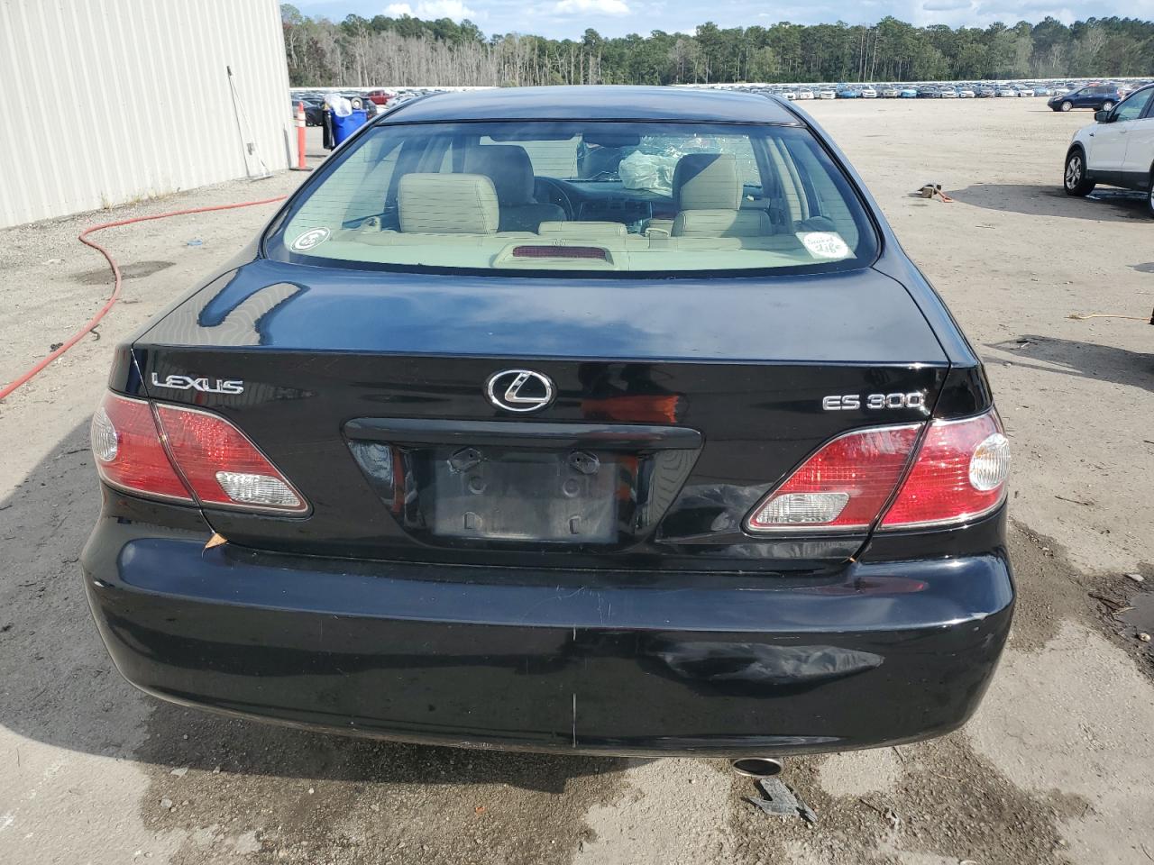 2002 Lexus Es 300 VIN: JTHBF30G025020243 Lot: 85647545