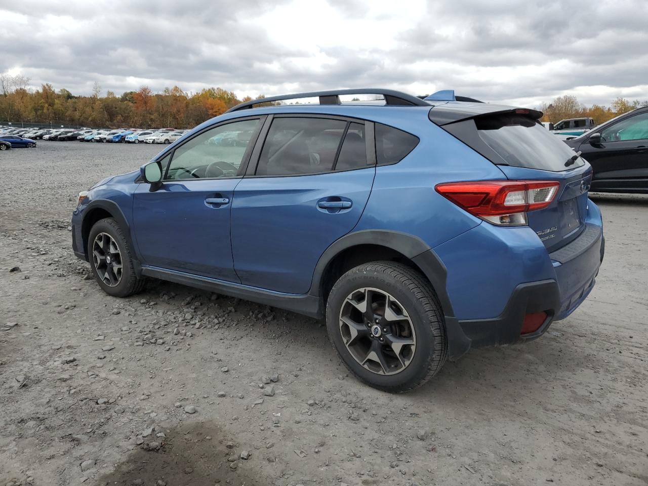XV XV