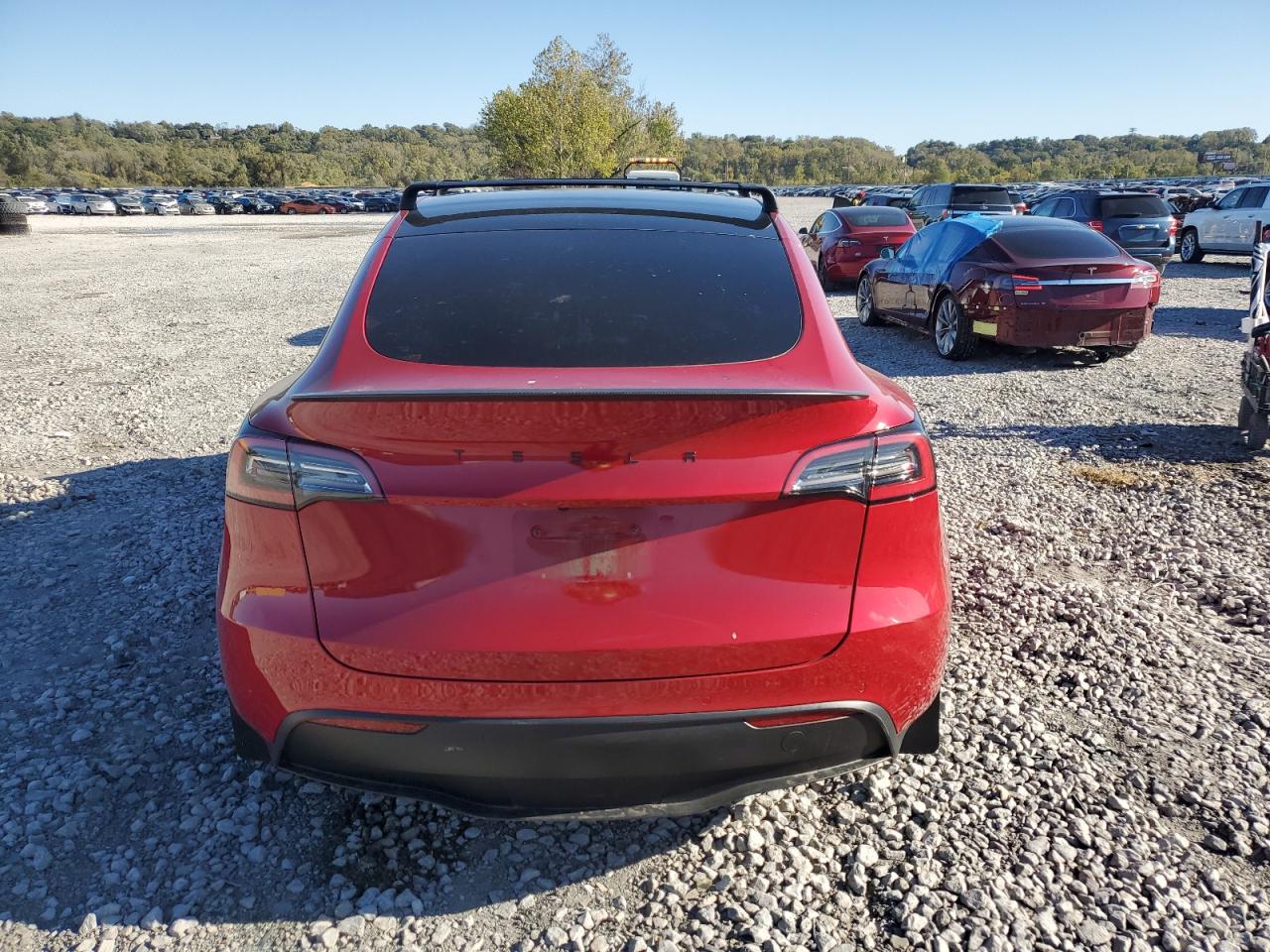 2021 Tesla Model Y VIN: 5YJYGDED4MF123065 Lot: 82658375