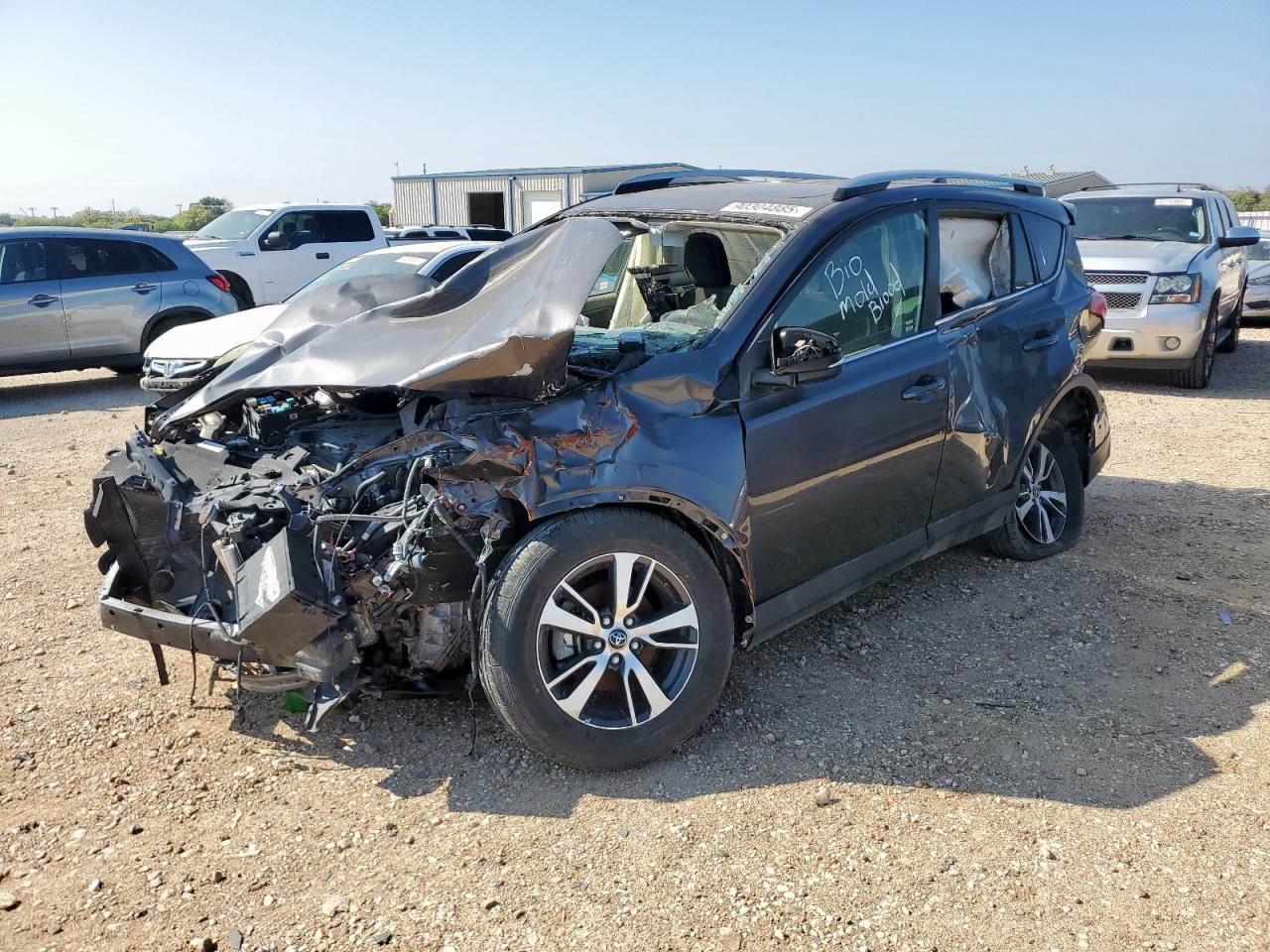 JTMWFREV5HJ114468 TOYOTA RAV4 Photo 1