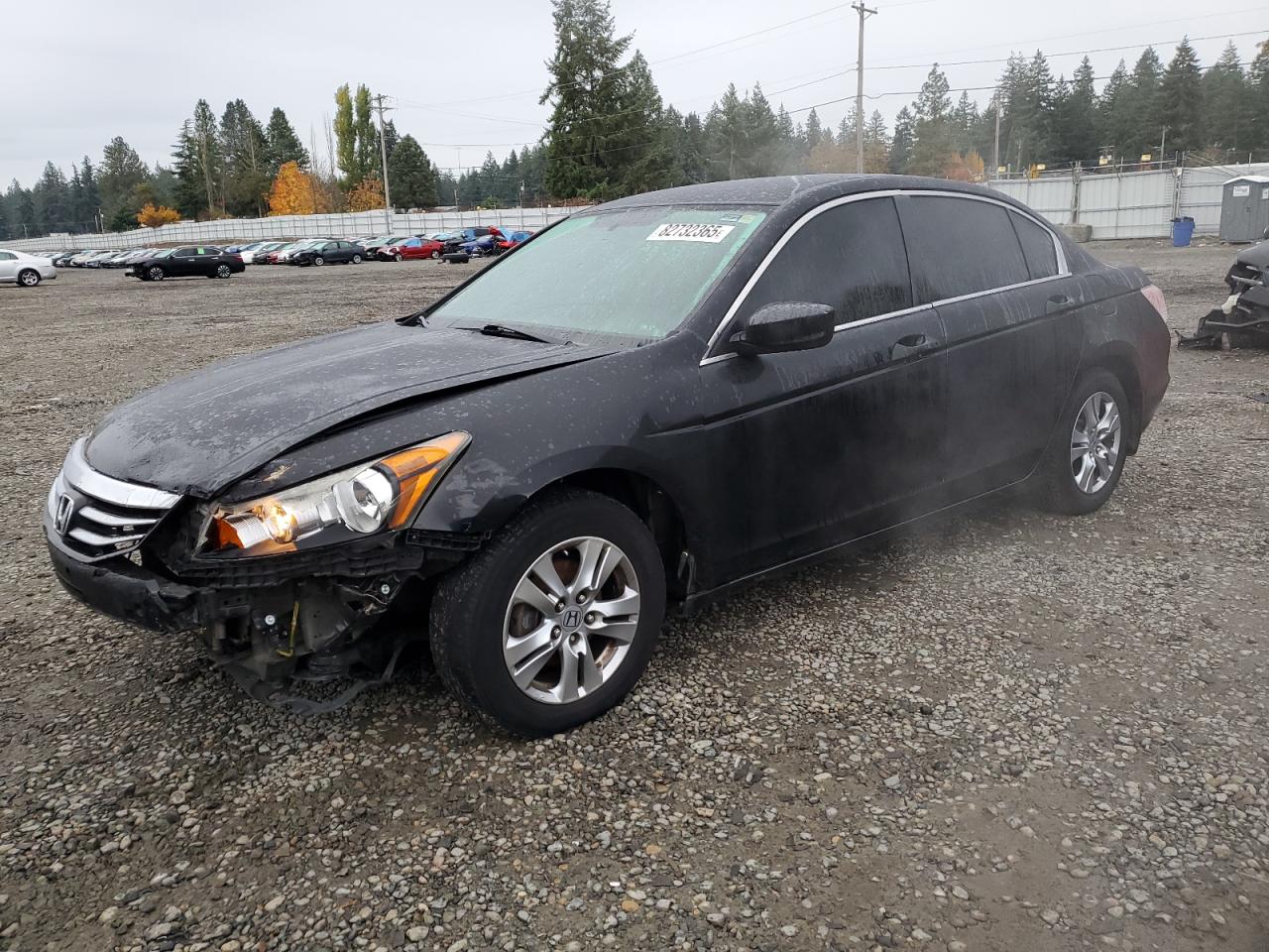 2011 Honda Accord Se