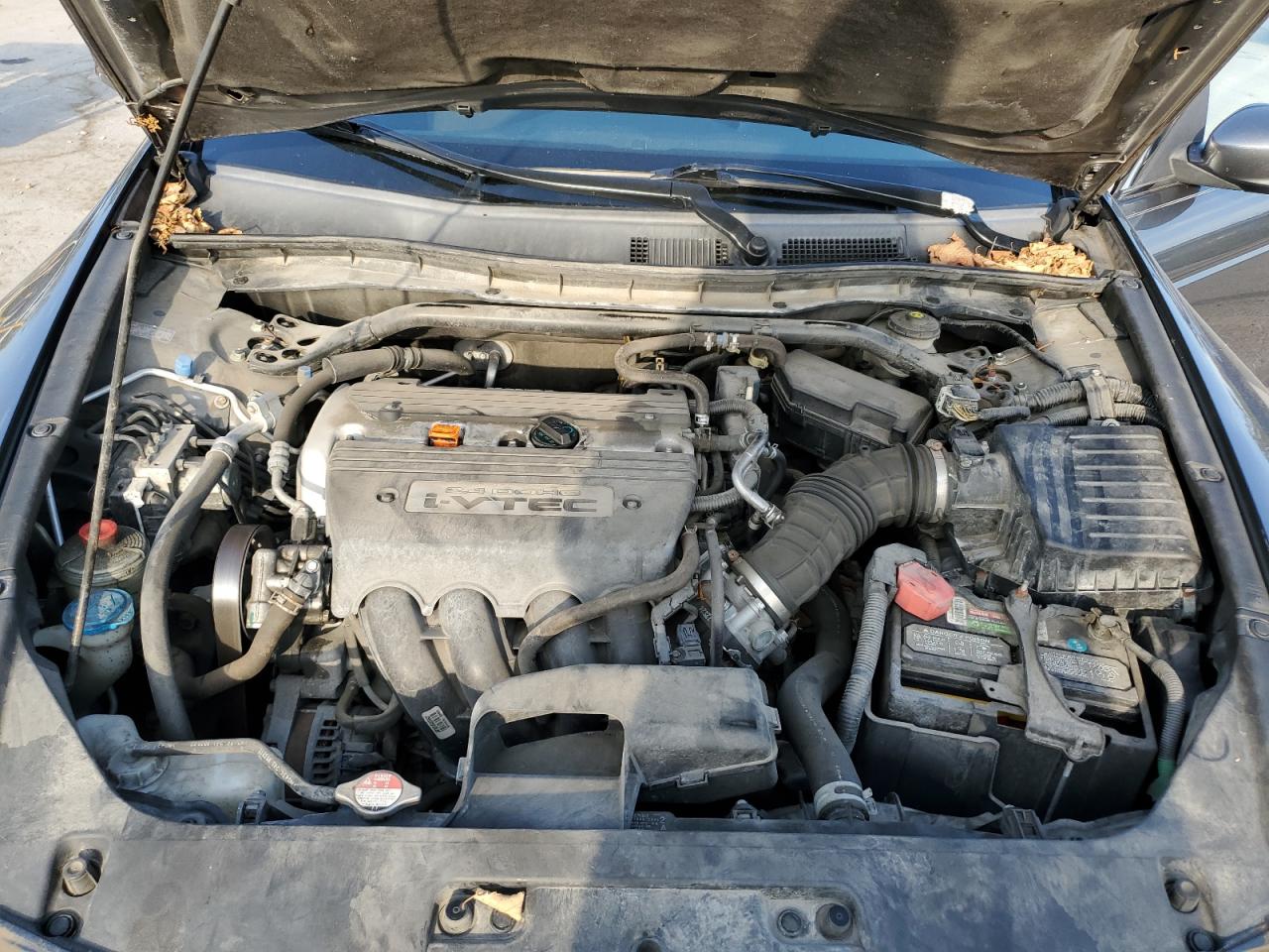 2008 Honda Accord Lx-S VIN: 1HGCS12388A020315 Lot: 84940975