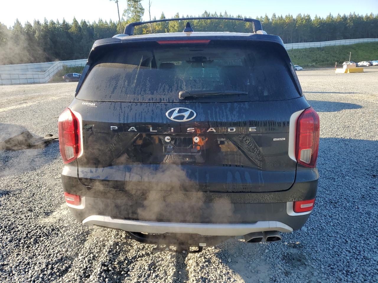 2021 Hyundai Palisade Sel VIN: KM8R4DHE5MU306317 Lot: 85146325