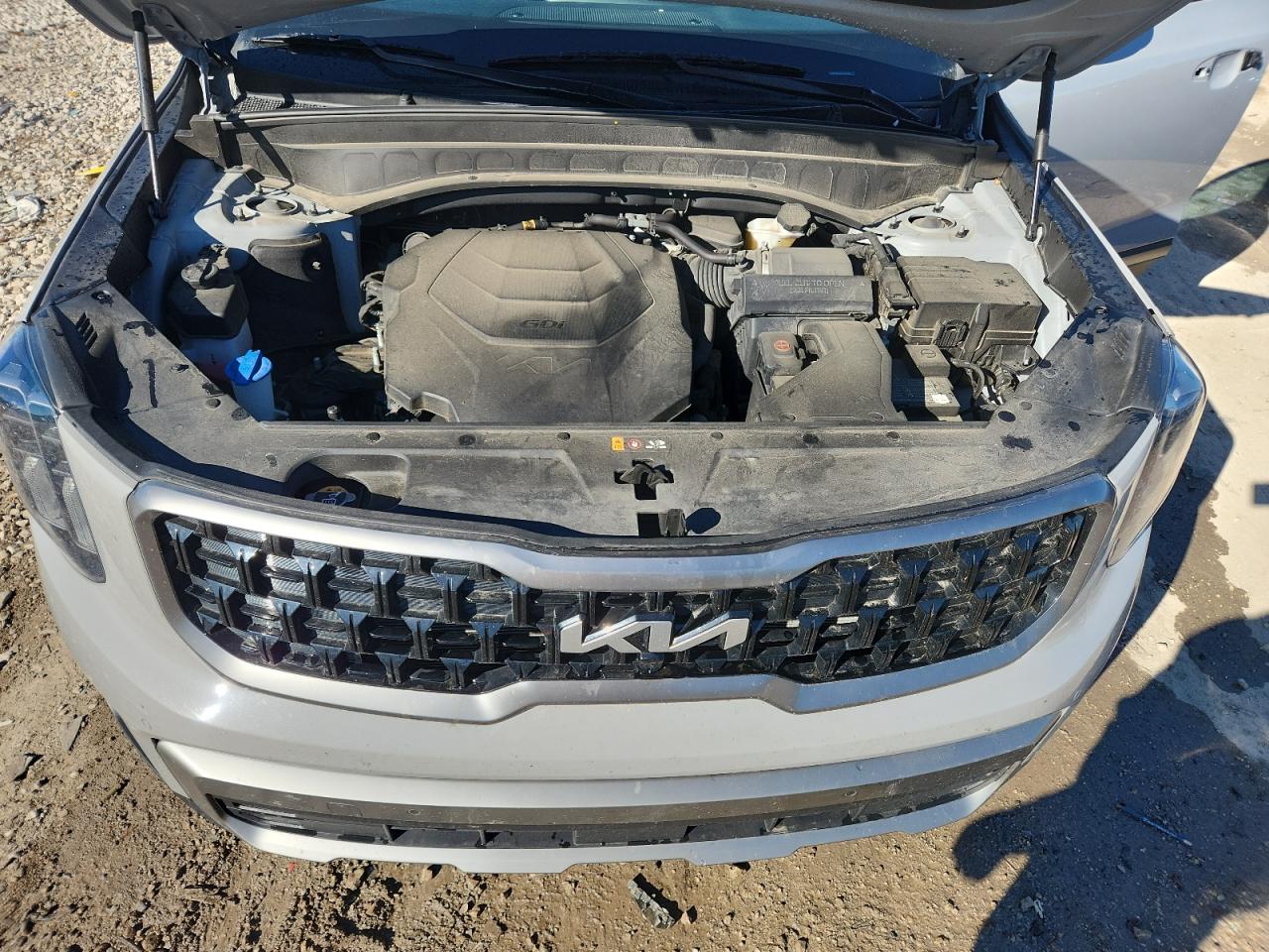 2023 Kia Telluride Sx VIN: 5XYP5DGC3PG376025 Lot: 84385785