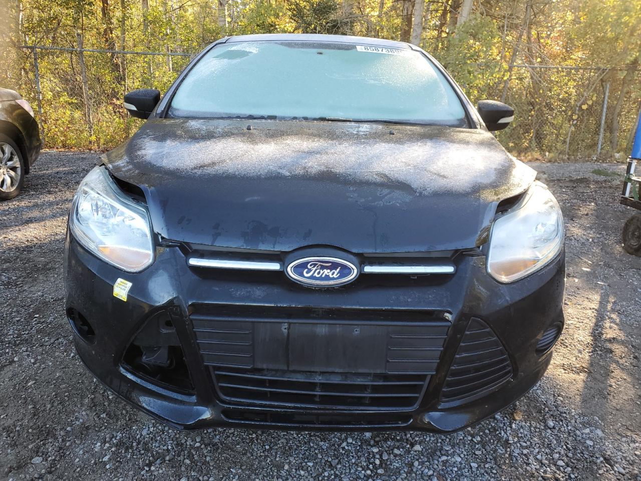 2013 Ford Focus Se VIN: 1FADP3K20DL273401 Lot: 85873895