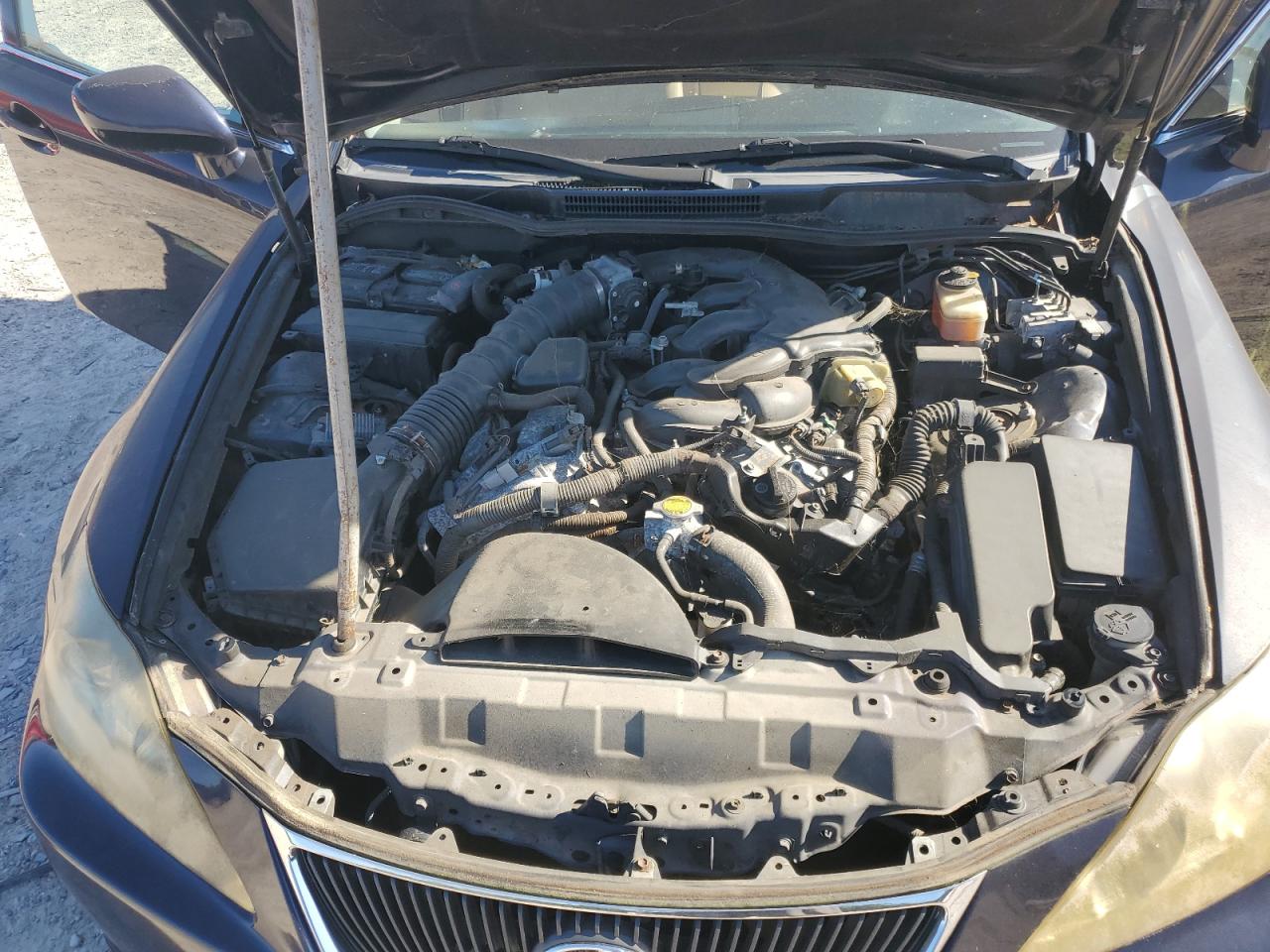 2008 Lexus Is 250 VIN: JTHCK262985016416 Lot: 82267635