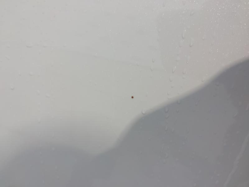 2019 HYUNDAI NEXO PREMIUM SE AUTO 