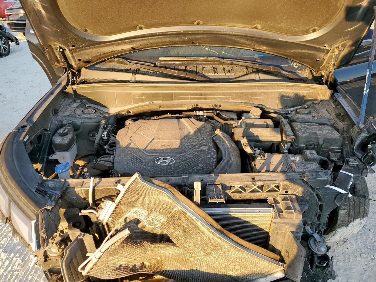 2024 Hyundai Palisade Calligraphy VIN: KM8R74GE8RU670487 Lot: 82400415