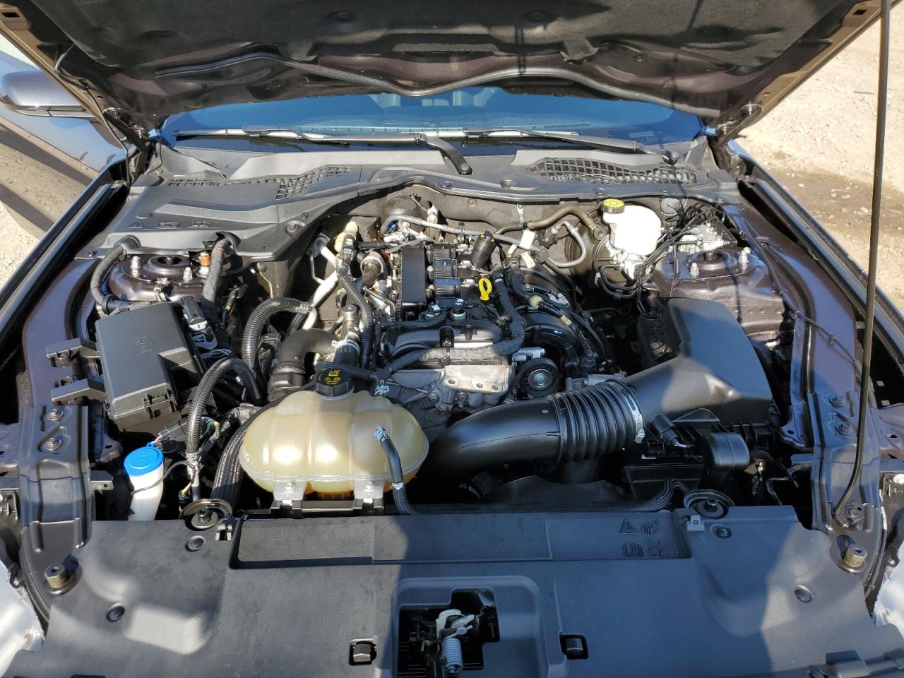 2022 Ford Mustang VIN: 1FA6P8TH7N5113384 Lot: 90121555