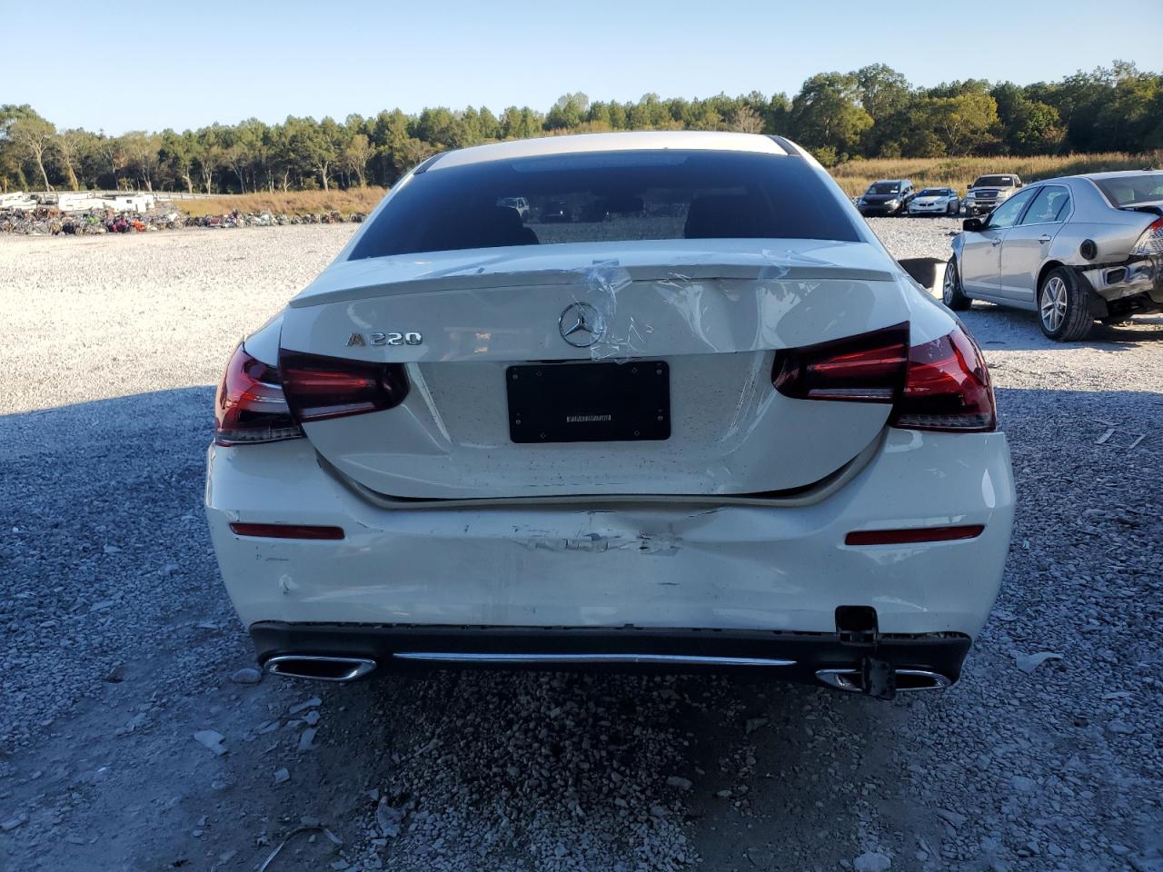 2020 Mercedes-Benz A 220 VIN: W1K3G4EB7LJ201392 Lot: 84872555