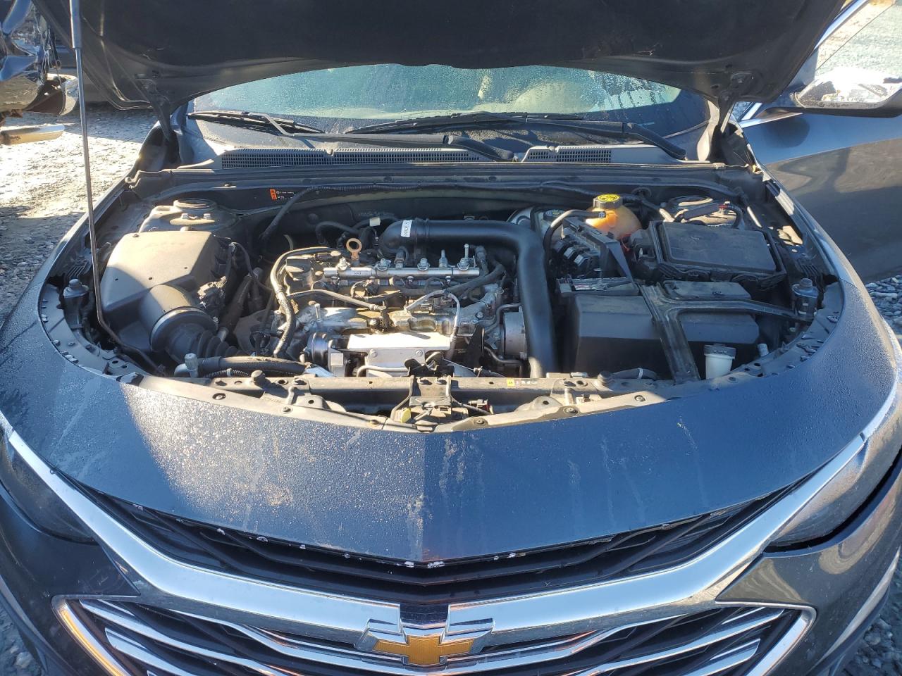 2019 Chevrolet Malibu Lt VIN: 1G1ZD5ST0KF119434 Lot: 82582305