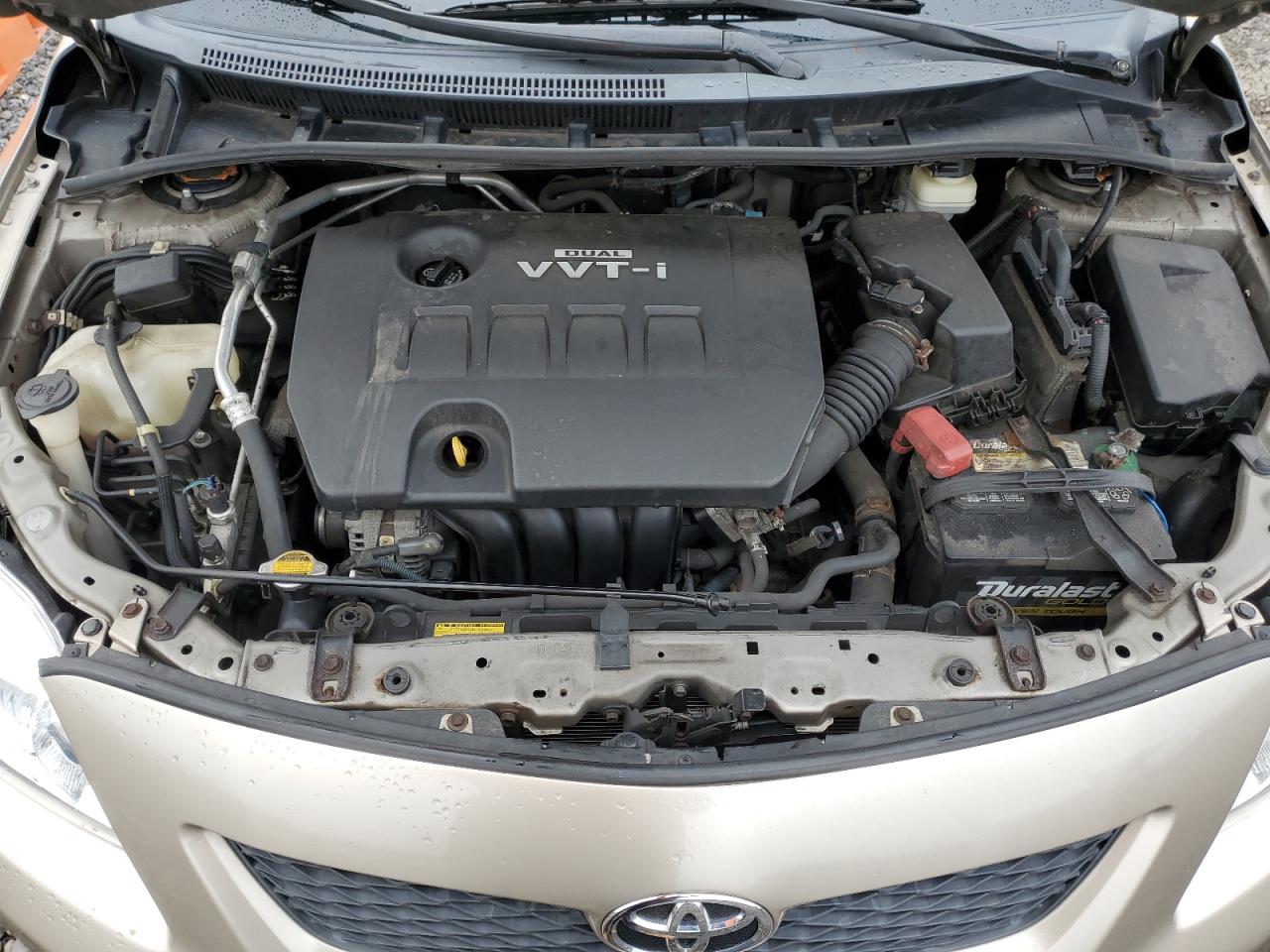 2010 Toyota Corolla Base VIN: 1NXBU4EE7AZ174498 Lot: 86111835