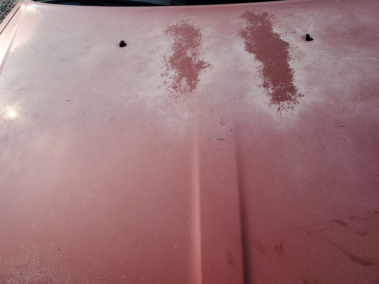 2005 Dodge Magnum Sxt VIN: 2D8FV48V45H187766 Lot: 85104985