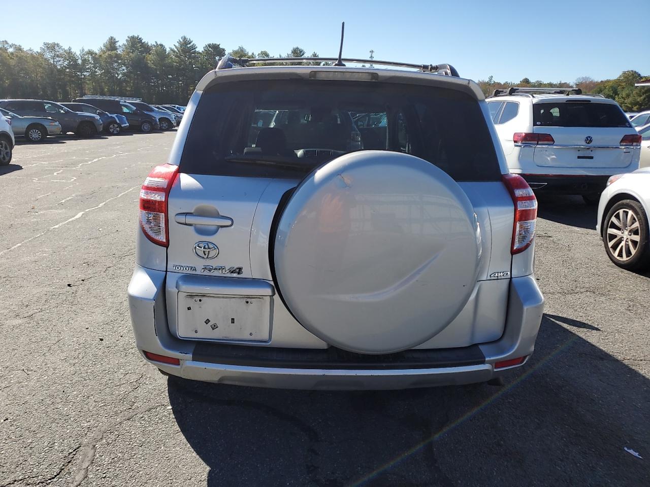 2010 Toyota Rav4 VIN: 2T3BF4DV6AW054064 Lot: 86695555