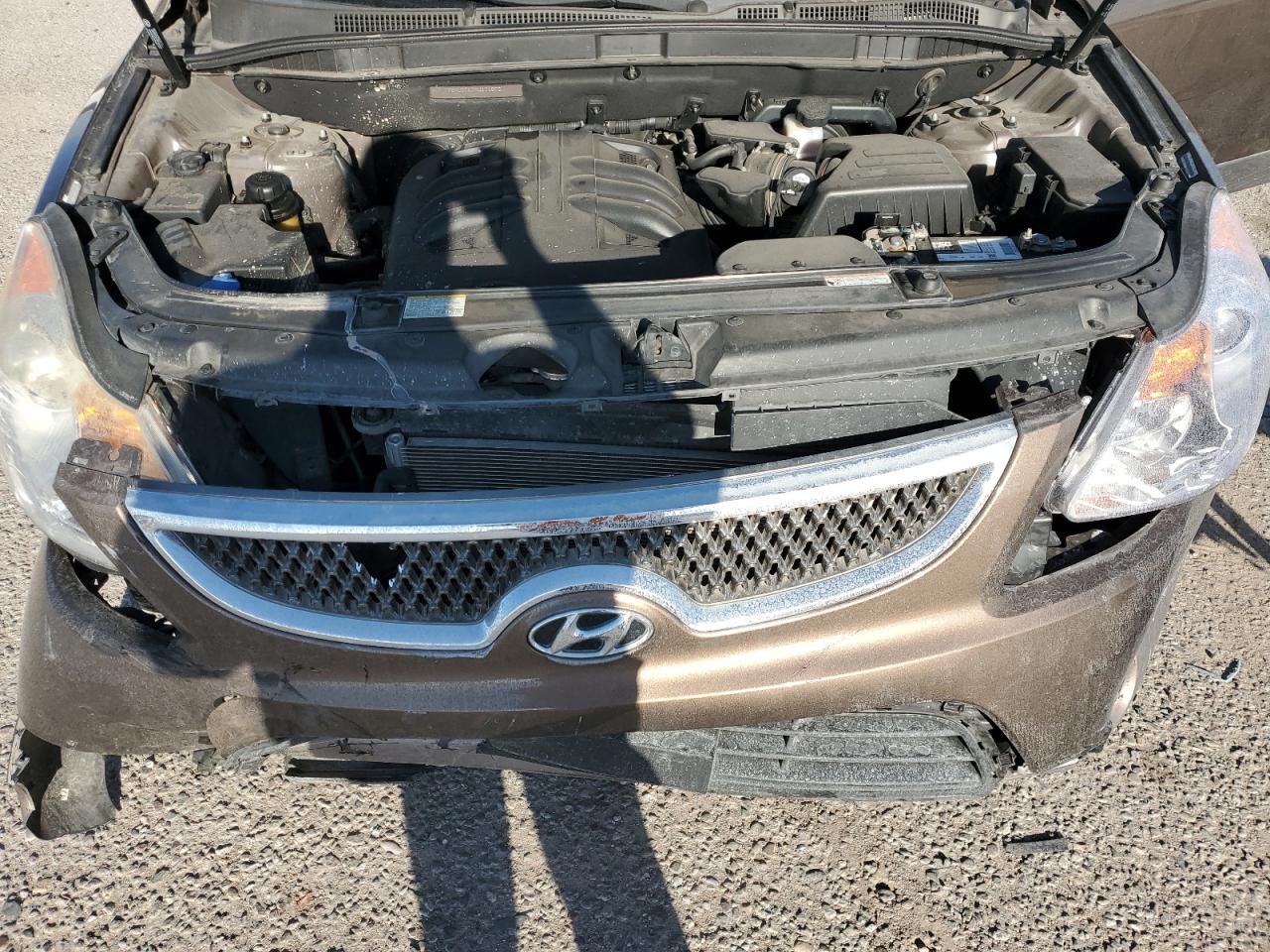 2010 Hyundai Veracruz Gls VIN: KM8NUDCC7AU121072 Lot: 85378775