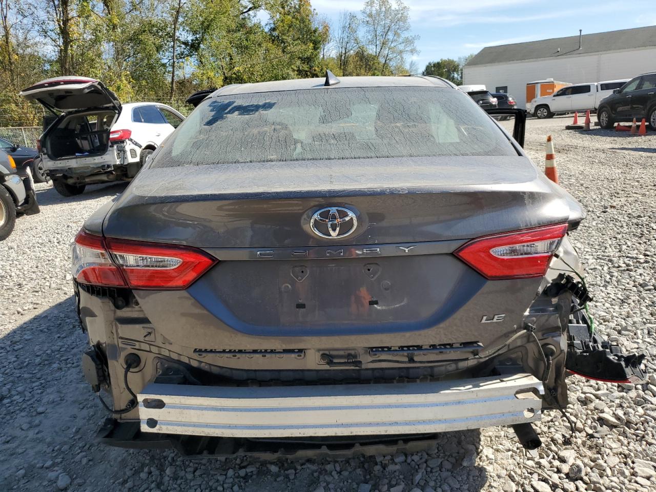 2019 Toyota Camry L VIN: 4T1B11HKXKU699811 Lot: 81971645