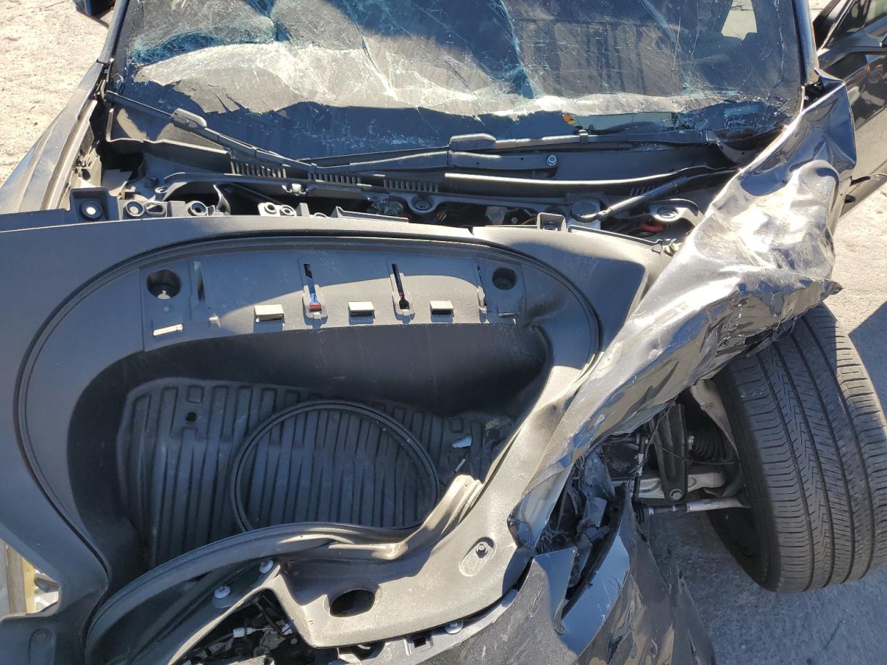 2024 Tesla Model 3 VIN: 5YJ3E1EB3RF717165 Lot: 90017325