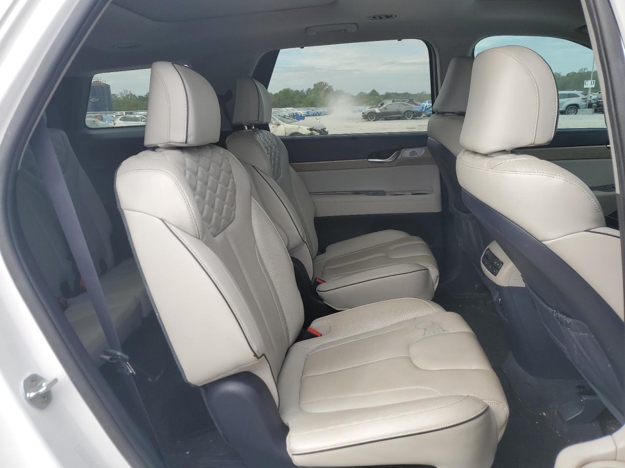 2021 Hyundai Palisade Limited VIN: KM8R54HE3MU276165 Lot: 81794575