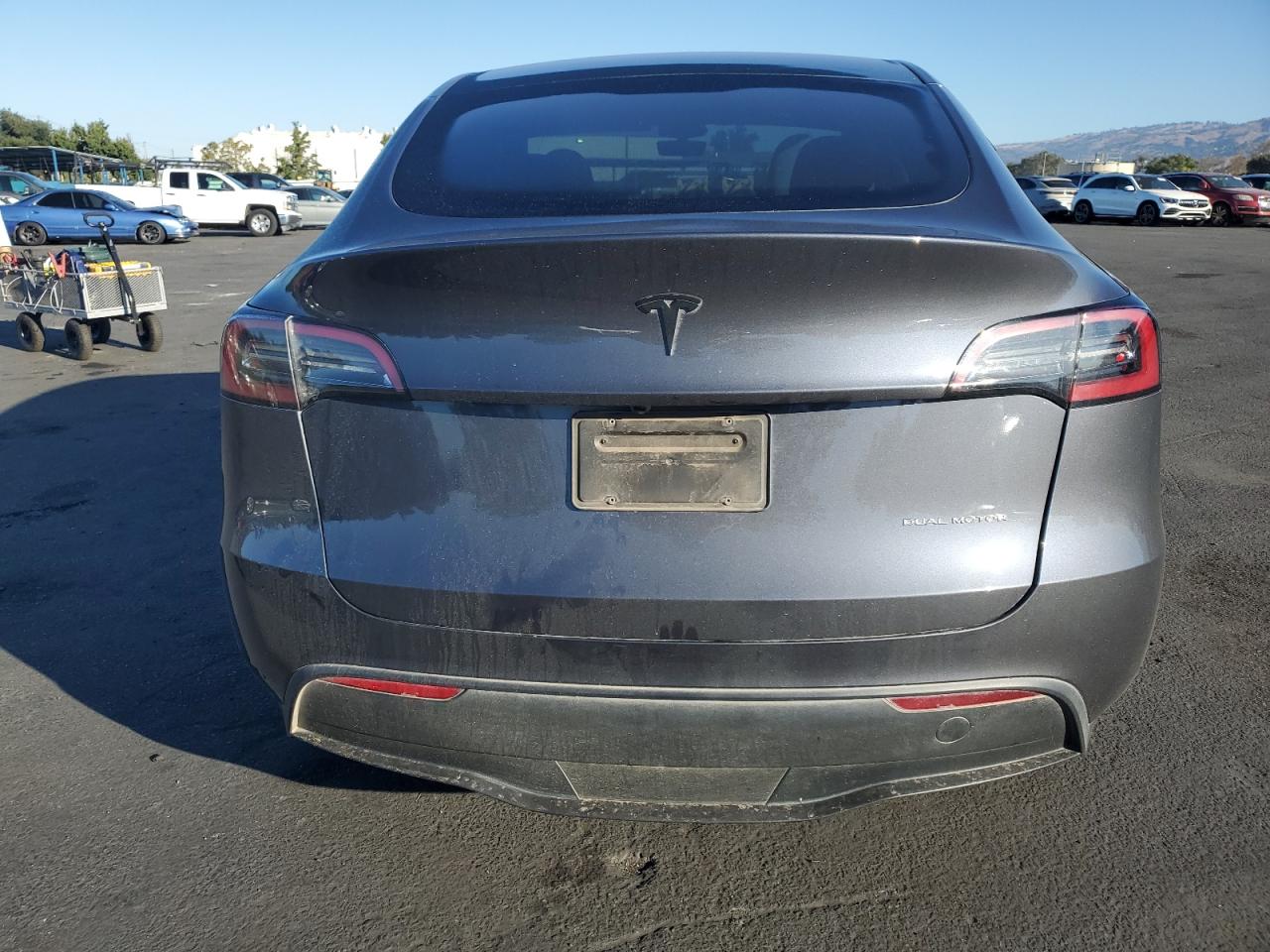2023 Tesla Model Y VIN: 7SAYGDEE8PF910424 Lot: 82636635