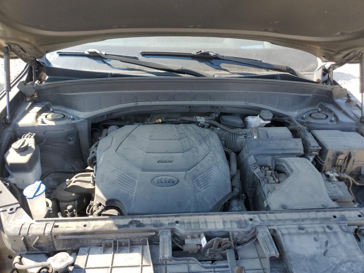 2020 Kia Telluride Sx VIN: 5XYP5DHC5LG006641 Lot: 84985115