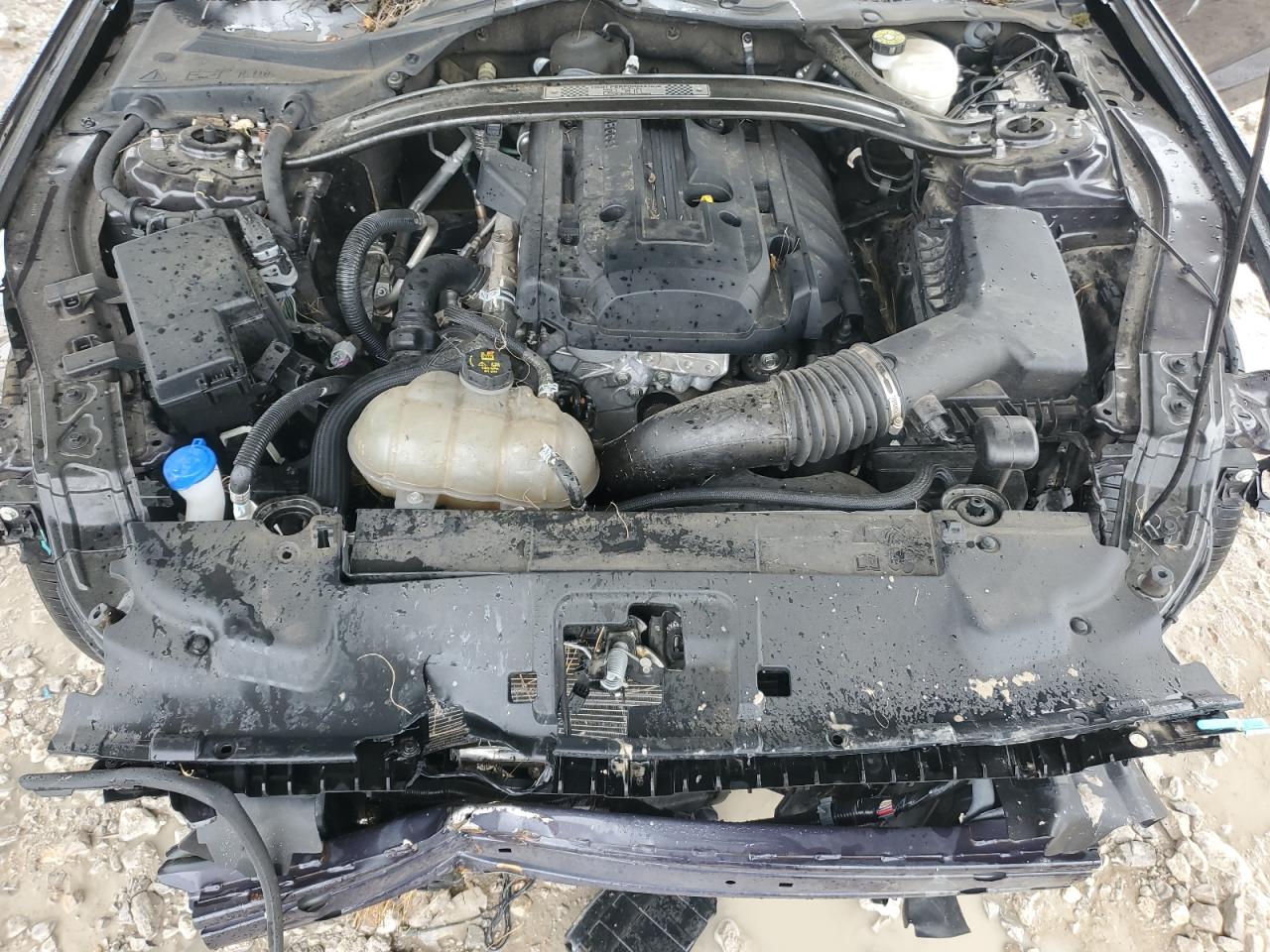 2023 Ford Mustang VIN: 1FA6P8TD3P5102530 Lot: 85257695