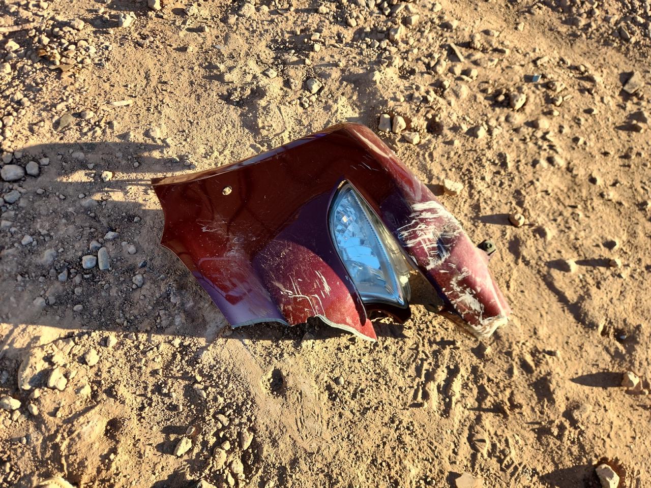 2009 Lexus Ls 460 VIN: JTHBL46F295089250 Lot: 87098595