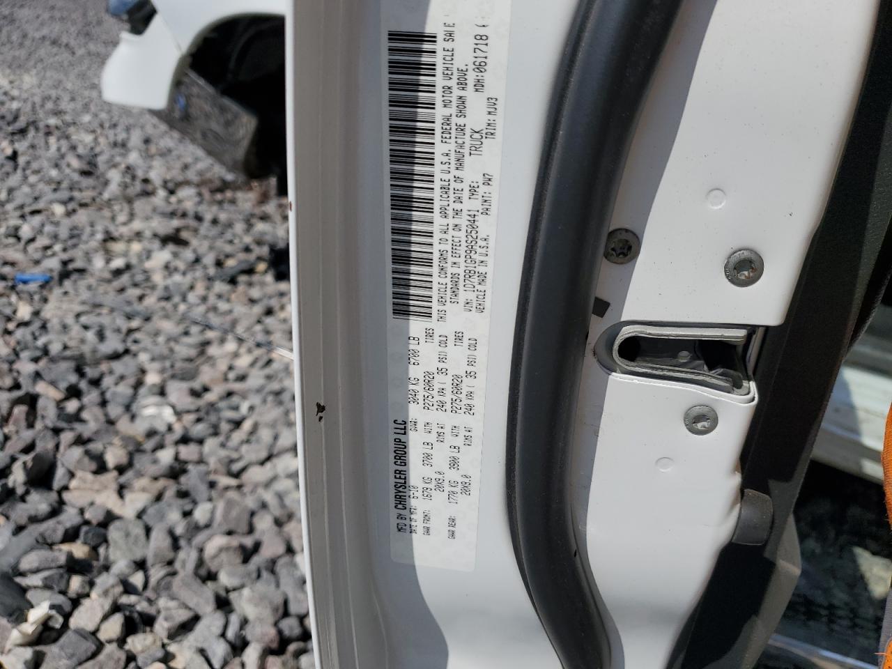 2010 Dodge Ram 1500 VIN: 1D7RB1GP9AS250441 Lot: 82359815