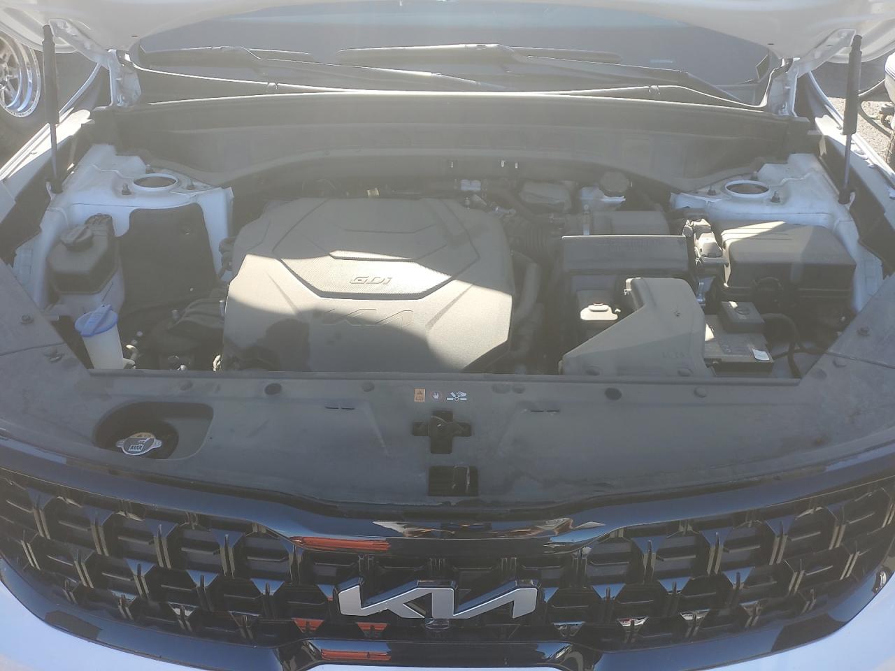 2024 Kia Telluride Sx VIN: 5XYP5DGC7RG488815 Lot: 85735195