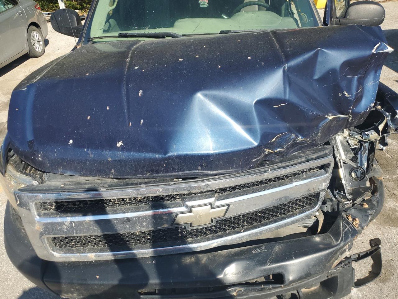 2009 Chevrolet Silverado K1500 VIN: 1GCEK19069Z117034 Lot: 85274645