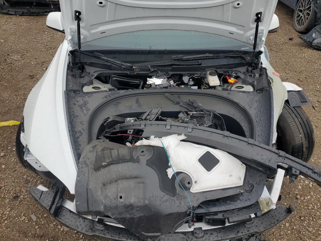 2025 Tesla Model 3 VIN: 5YJ3E1EBXSF053307 Lot: 85156445