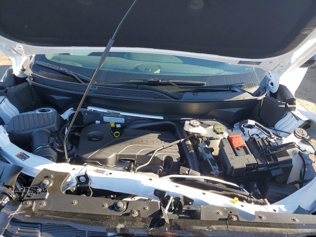 2025 GMC Terrain Elevation VIN: 3GKALUEG8SL218738 Lot: 86873105