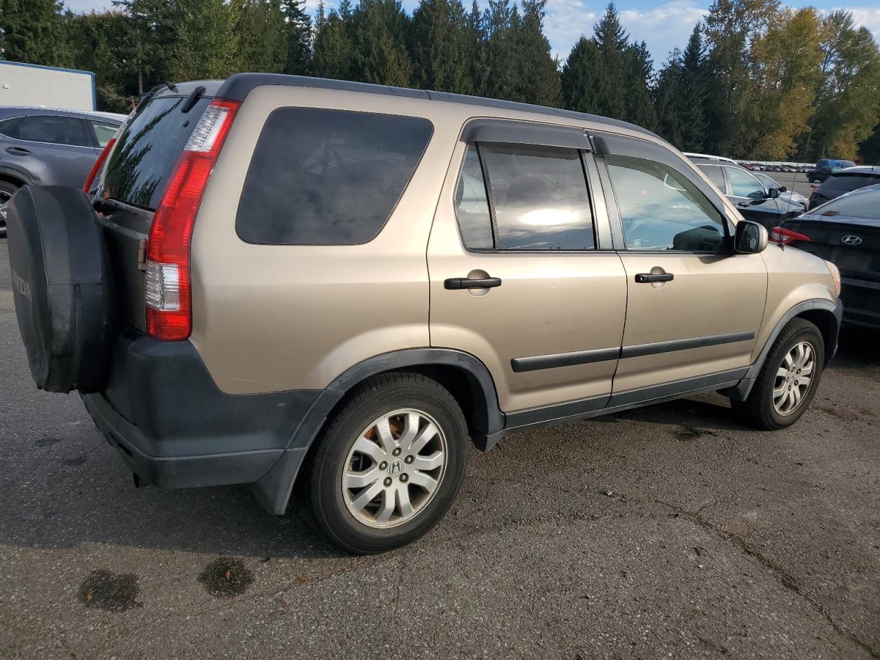 2005 Honda Cr-V Ex VIN: JHLRD78825C024310 Lot: 87129035