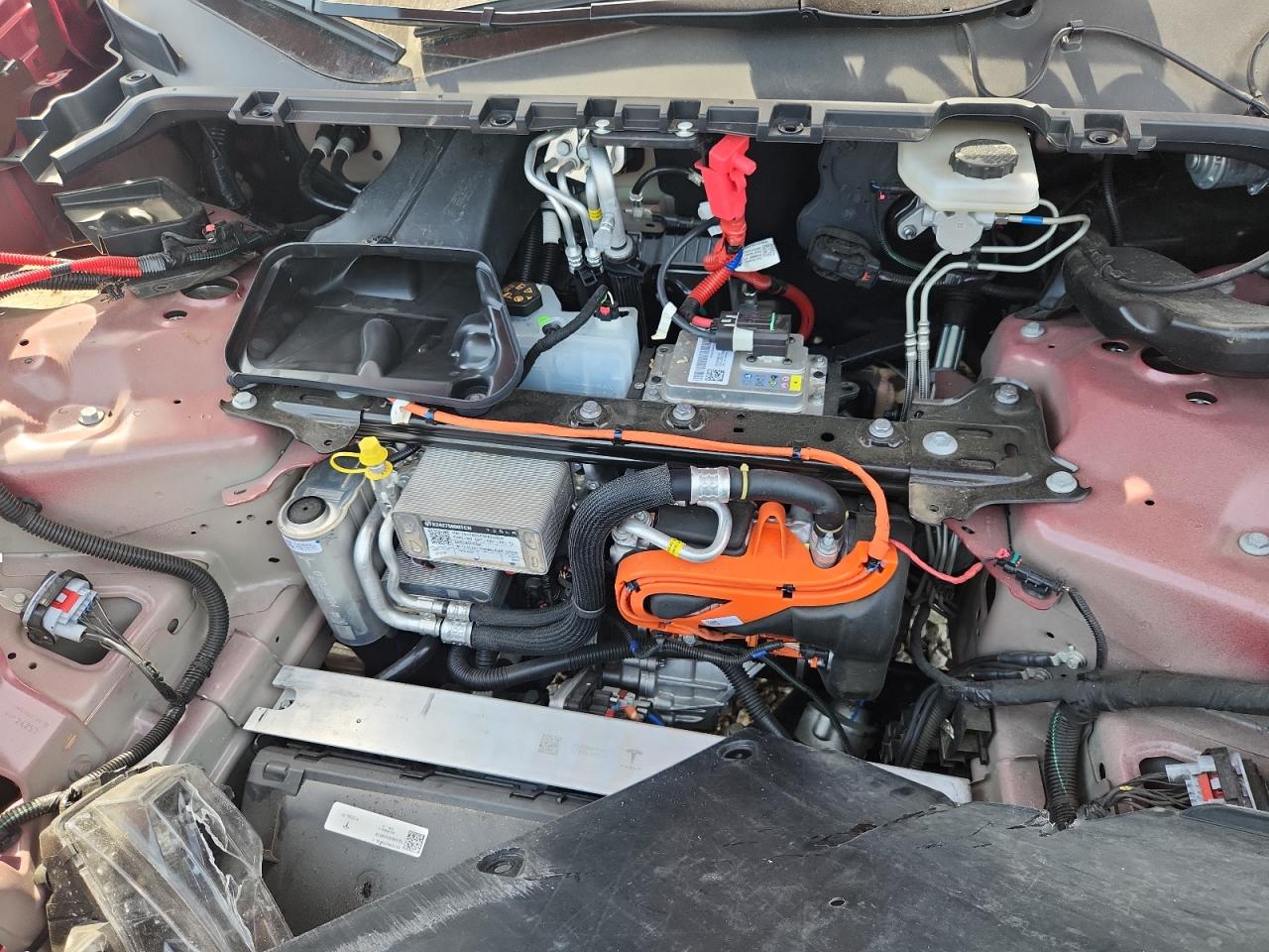 2024 Tesla Model Y VIN: 7SAYGDEF3RA332659 Lot: 86792325