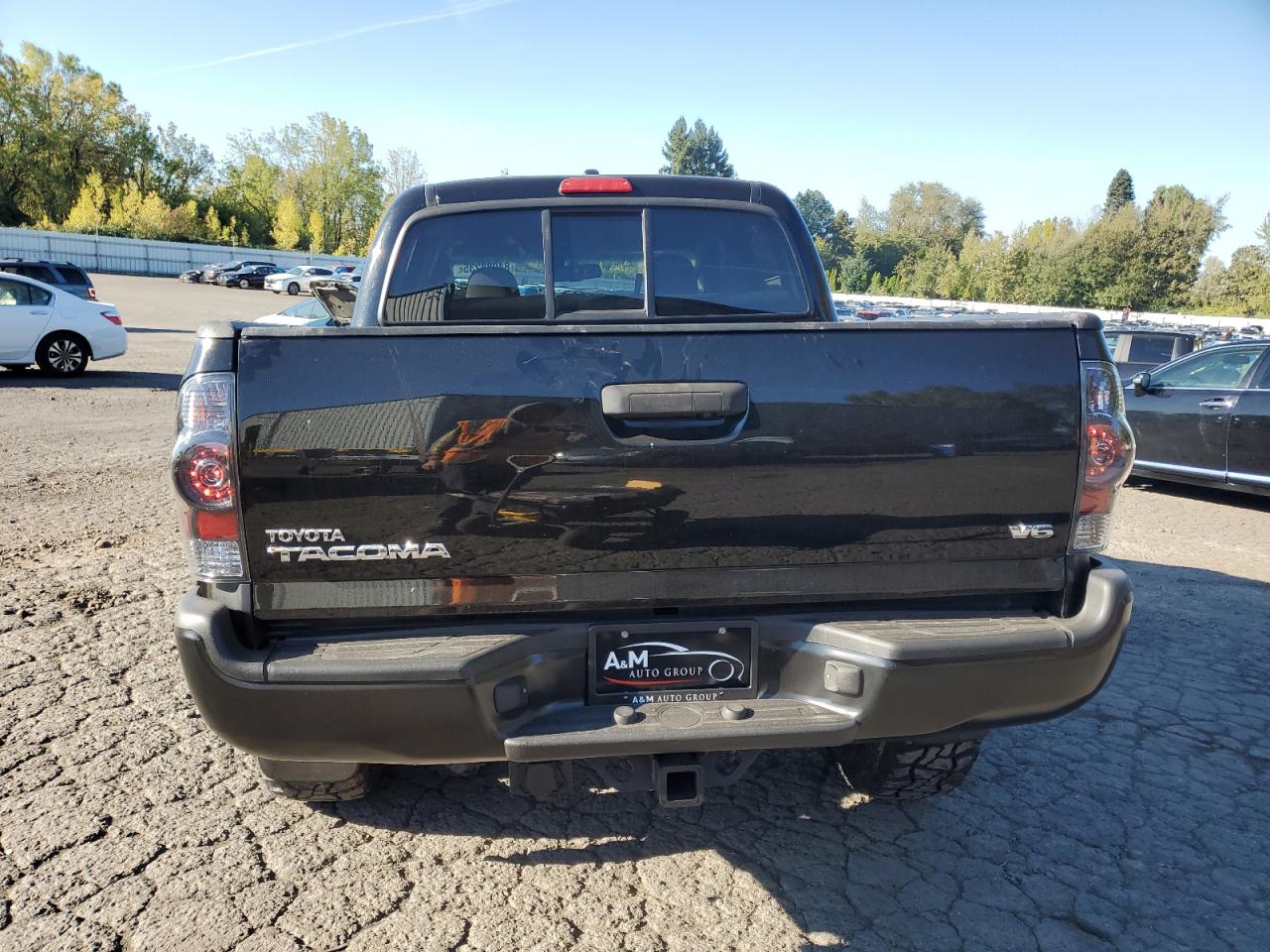 2011 Toyota Tacoma Double Cab VIN: 5TFLU4EN2BX001769 Lot: 84988235
